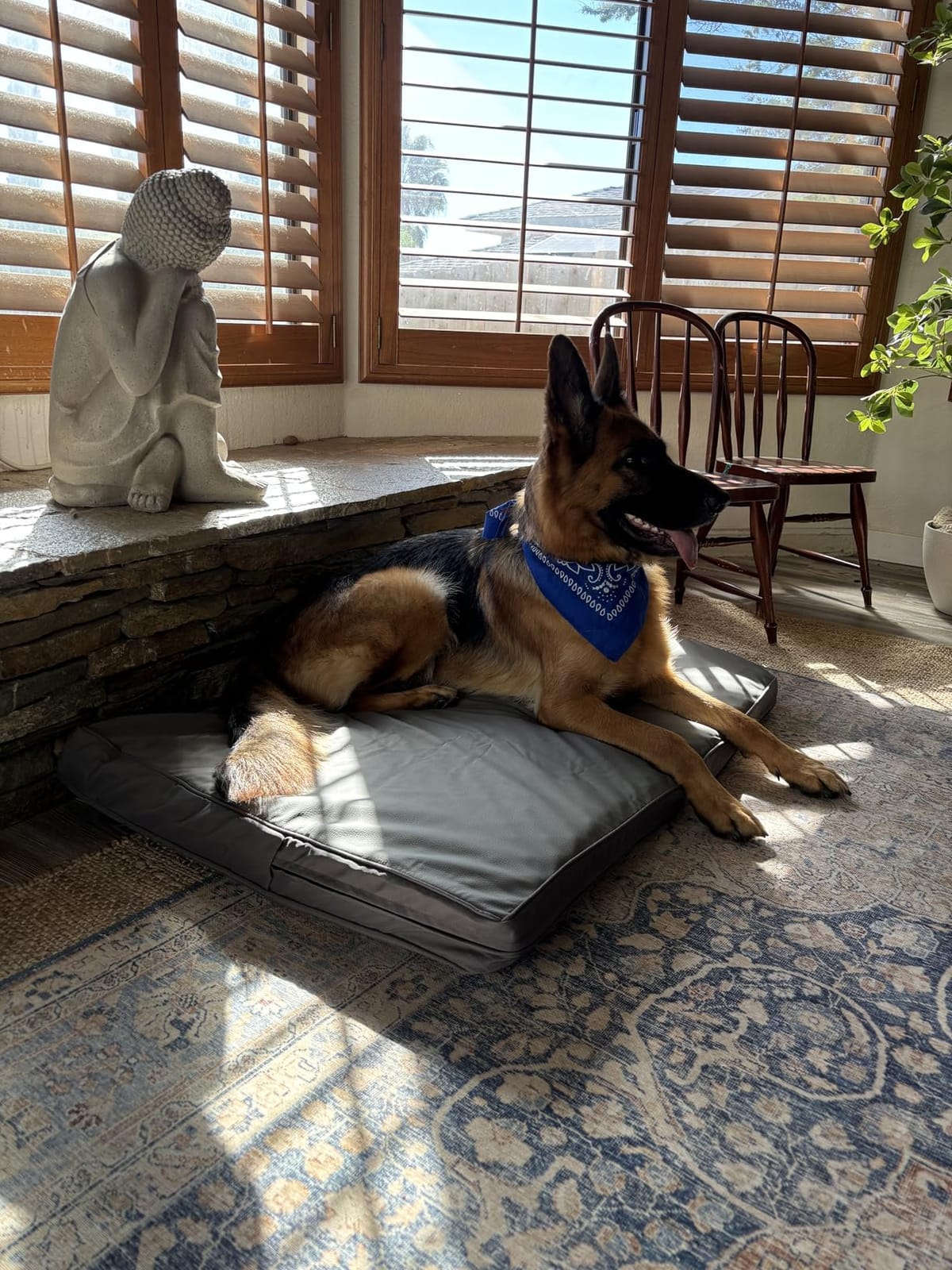 Waterproof Small Dog Bed Crate Pad 24