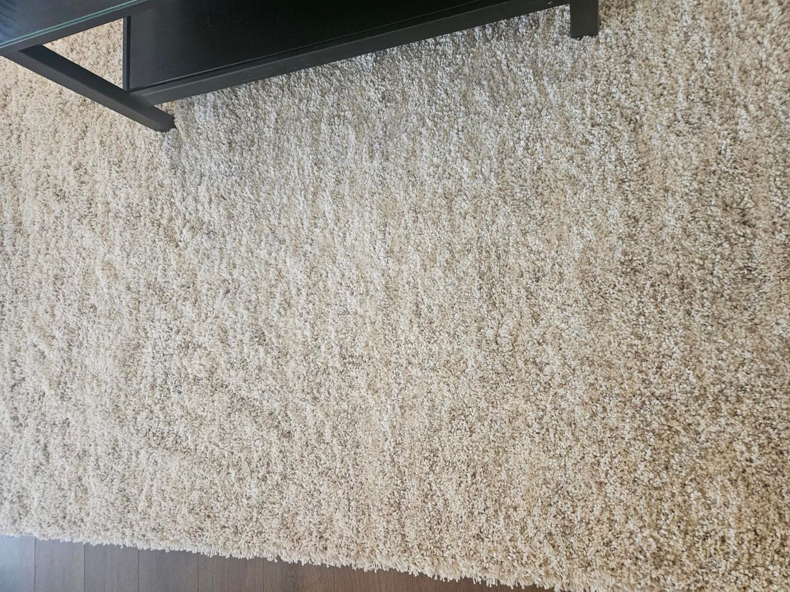 SAFAVIEH Hudson Shag Rug 6x9, Plush Ivory & Grey SGH295B customer photo 1