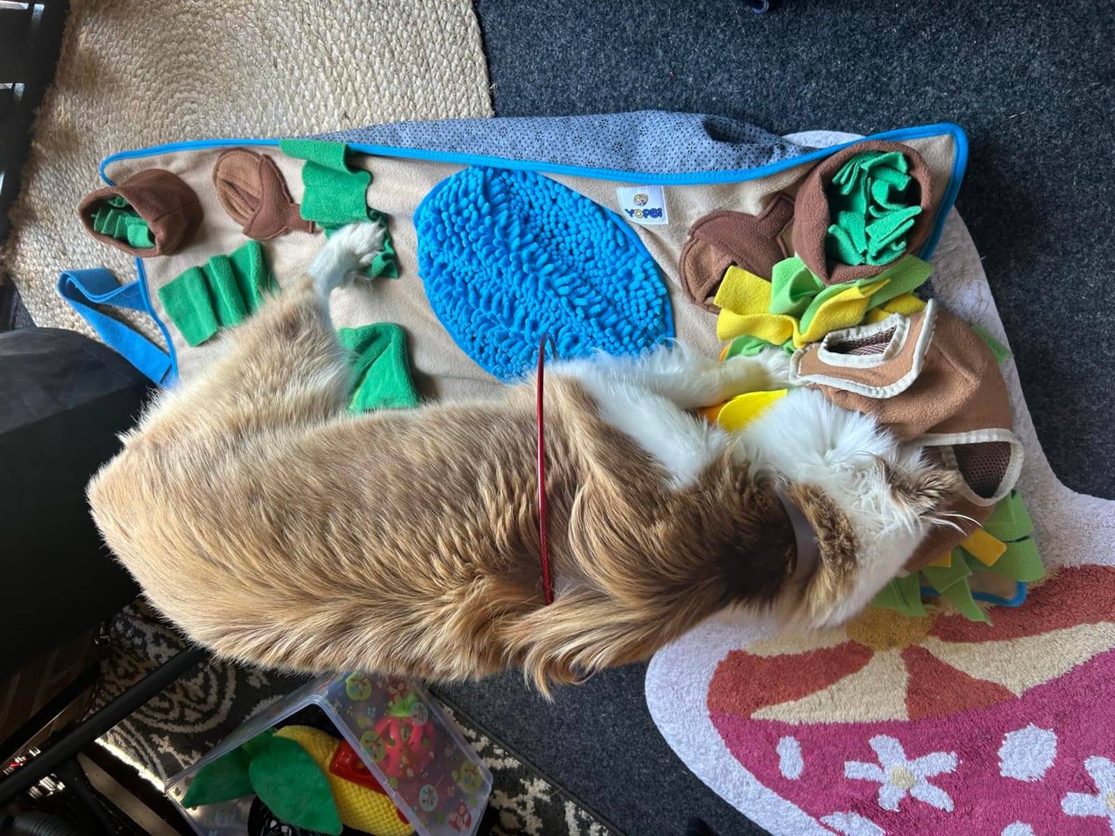Snuffle Mat for Dogs Large Breed 39.4''x23.6'' - Interactive Dog Toys for Boredom - Sniff Mat - Mental Stimulation - Enrichment Toys customer photo 1