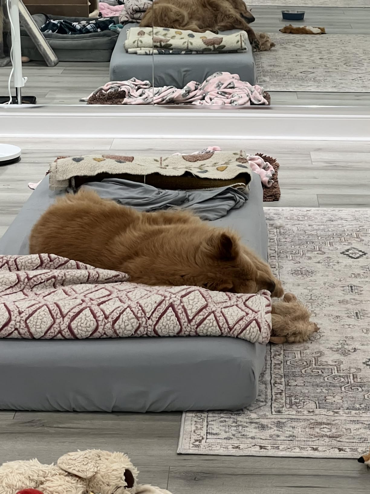 Zinus 6 Inch Full Green Tea Memory Foam Mattress, Medium Firm Feel | Pressure-Relieving Comfort & Full-Body Support, Naturally Fresh, CertiPUR-US & OEKO-TEX Certified Safe Materials customer photo 2