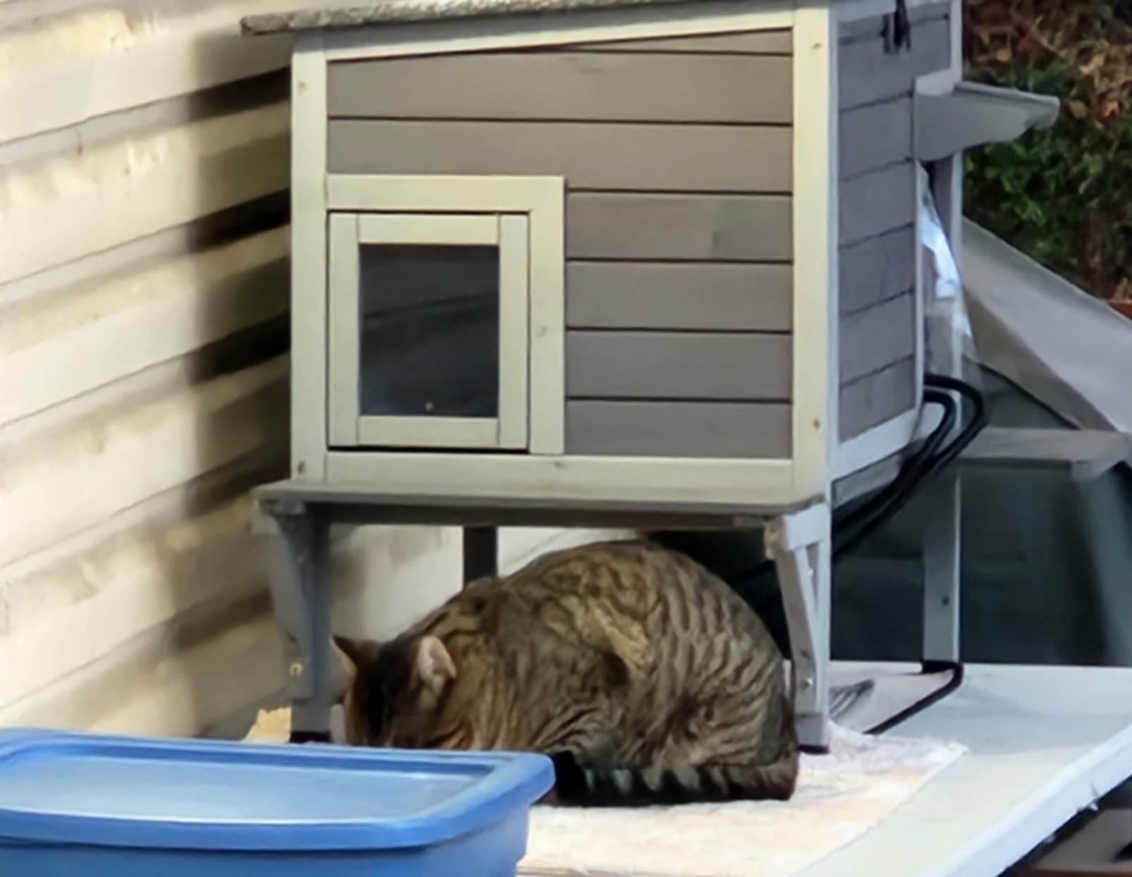 Aivituvin Heated Outdoor Cat House with Heating Pad, Insulated Liner | Large Weatherproof Feral Stray Cat Shelter for Outside, Windproof, Waterproof, Warm for 1-3 Cats in Winter customer photo 1