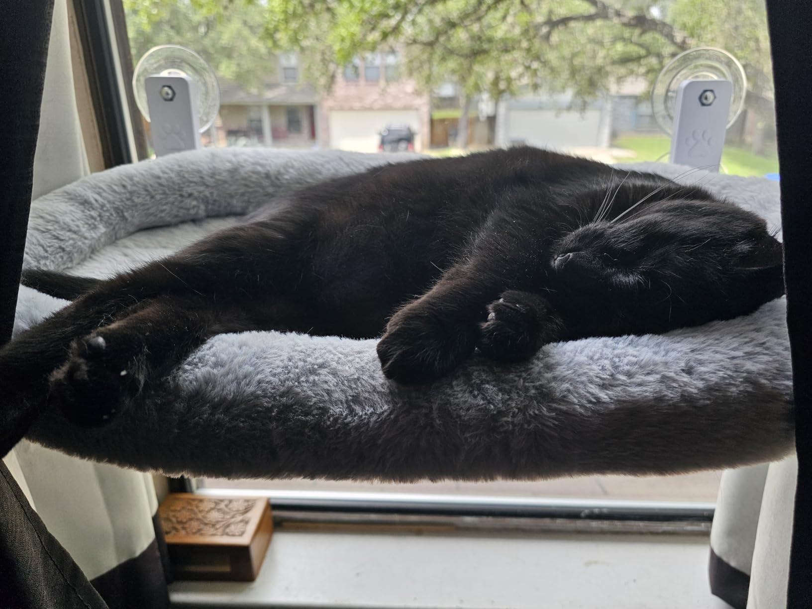AMOSIJOY Cordless Cat Window Perch with Cushion Bed Metal Frame, L Gray | Soft Plush Reversible Cover, Machine Washable, Sturdy Cat Hammock Bed with 4 Strong Suction for Large Cats customer photo 1