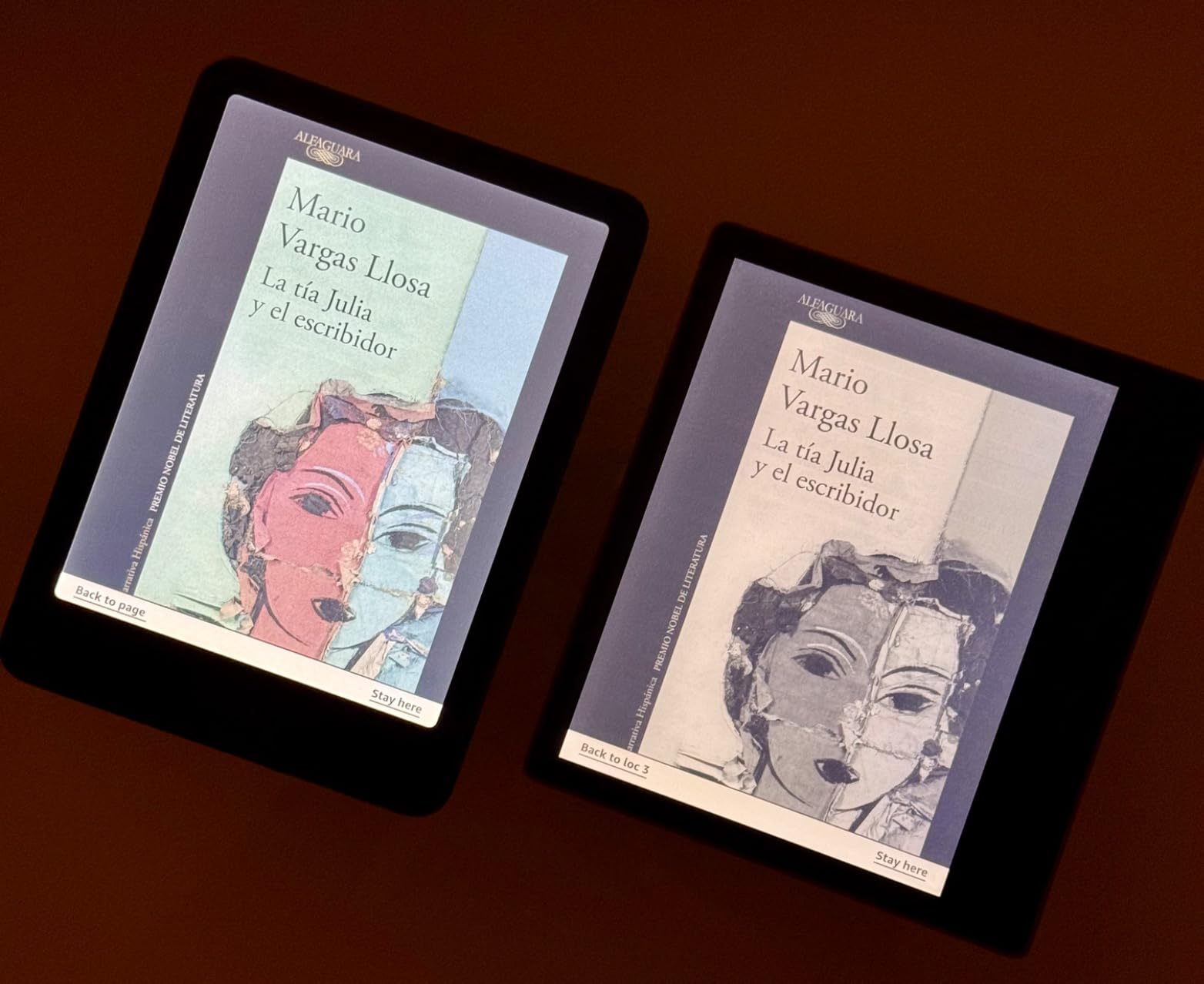 Amazon Kindle Colorsoft Signature Edition 32GB (newest model) - With color display, auto-adjusting front light, wireless charging, and long battery life - Metallic Black customer photo 1