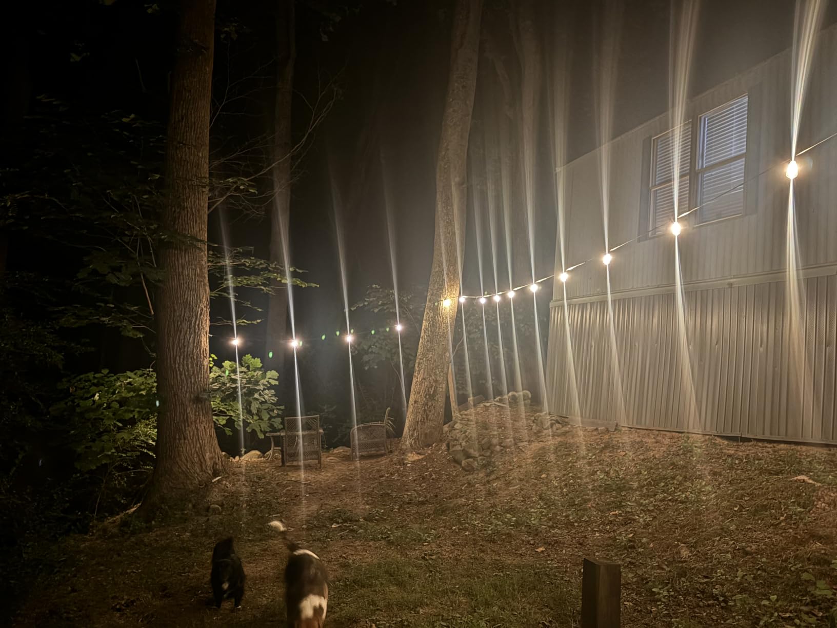 addlon 100FT Outdoor String Lights ST38 LED with Remote Waterproof Dimmable | Shatterproof Replaceable Bulbs, Connectable Hanging Strand for Porch Backyard Patio Garden Deck Outside, Timer, 3 Modes customer photo 1