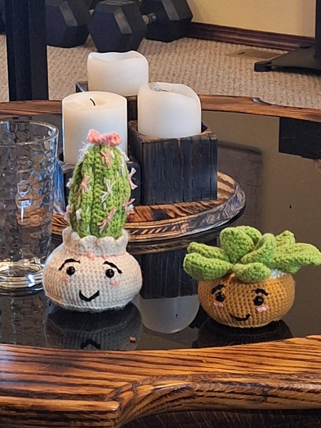 MAGIMUSE Crochet Kit for Beginners, Crochet Starter Kits, Amigurumi Craft Knitting Crocheting Kits with Step-by-Step Video Tutorials, 6 Pack Hanging Potted Plants Family(40%+ Yarn) customer photo 1