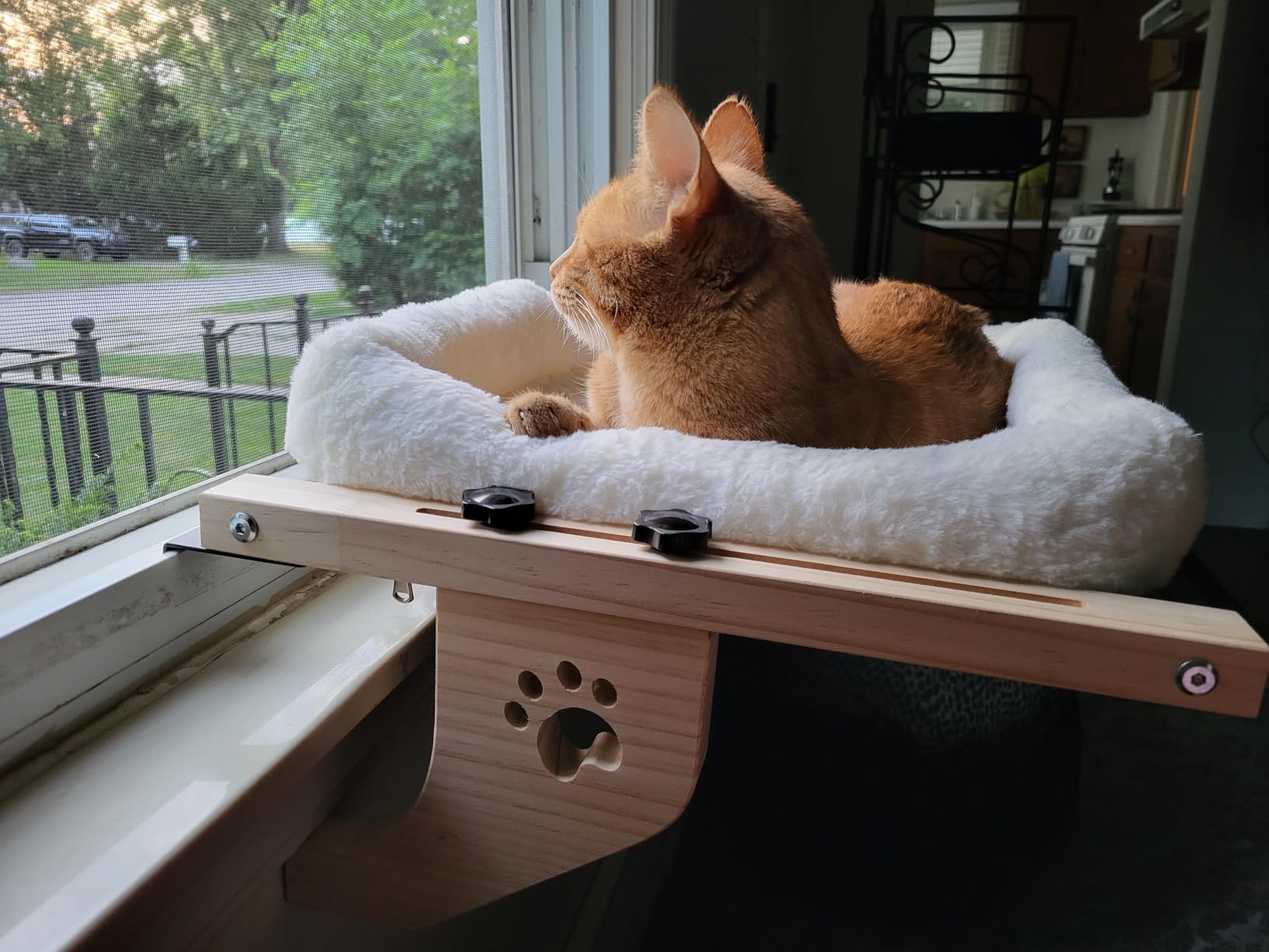 AMOSIJOY Wooden Cat Windowsill Perch with Zipper Cushion Bed, 21.7in | Sturdy Wood & Metal Frame Hold up to 40lbs, Machine Washable, Easy to Adjust, Hook-on Mounting Cat Hammock Seat for Large Cat customer photo 1