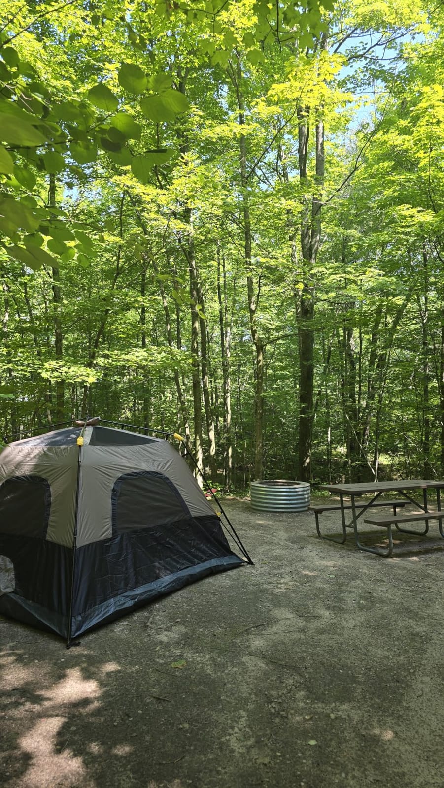 FanttikOutdoor 4/6/8/10 Person Instant Tent for Camping Setup in 60s customer photo 2