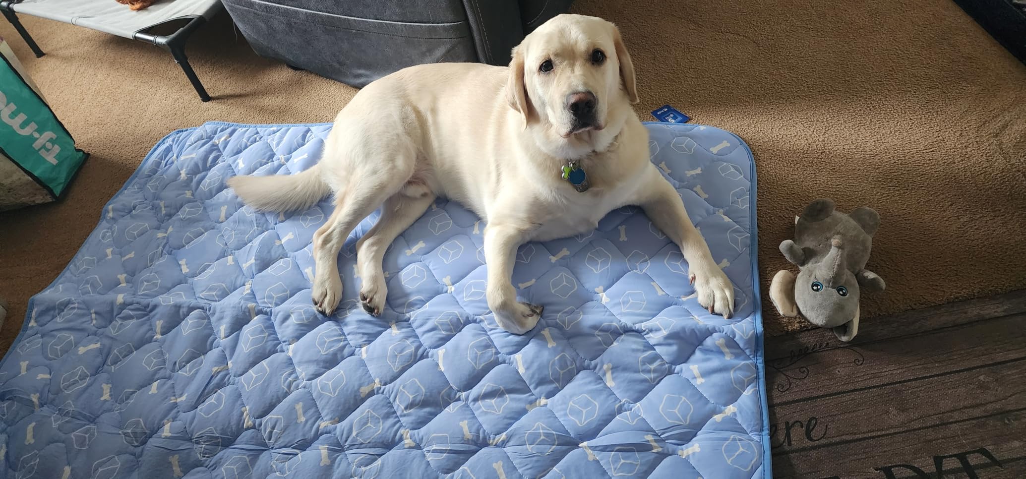 Rywell Dog Cooling Mat 2.0, Ocean Blue, 44