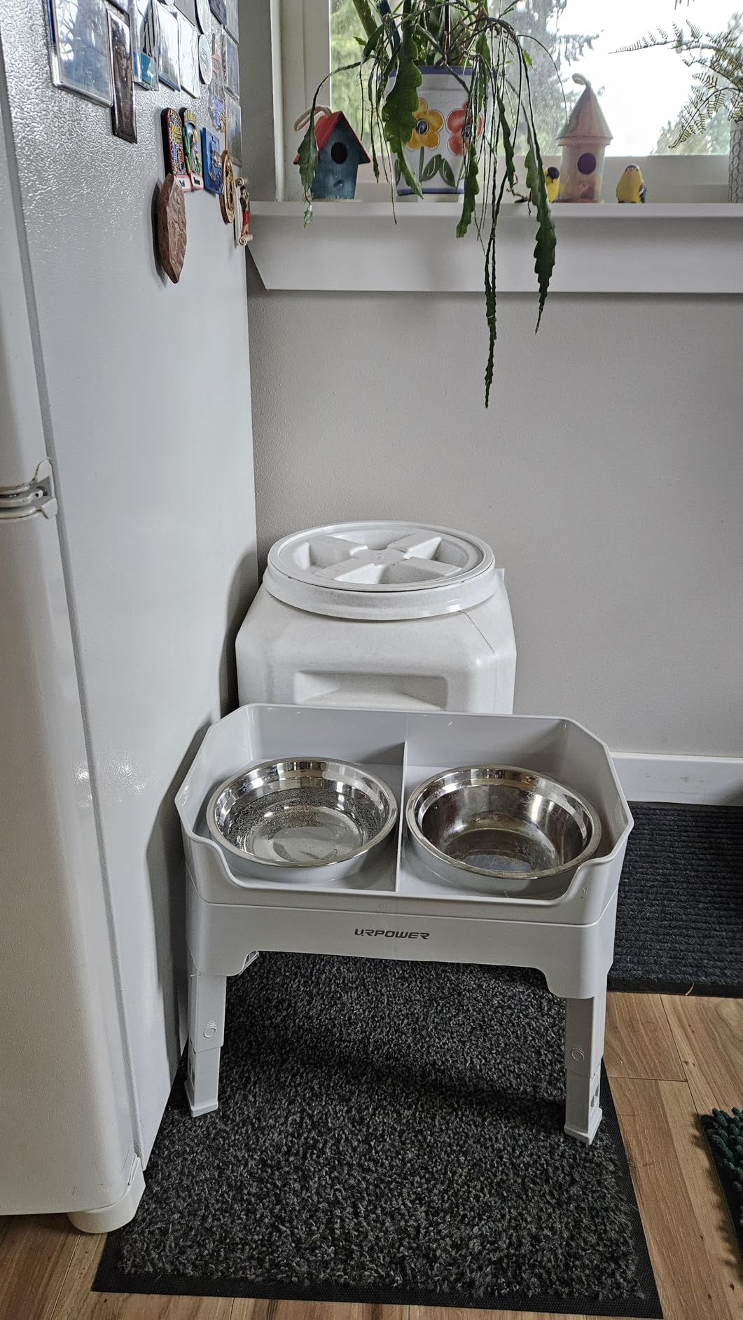 URPOWER Elevated Dog Bowls, 3-in-1 Double Deck Raised Dog Bowl Stand | 4 Height Adjustable Raised Stand with 2 Stainless Steel Food Bowls & Licking Plate for Small, Medium & Large Dogs customer photo 2