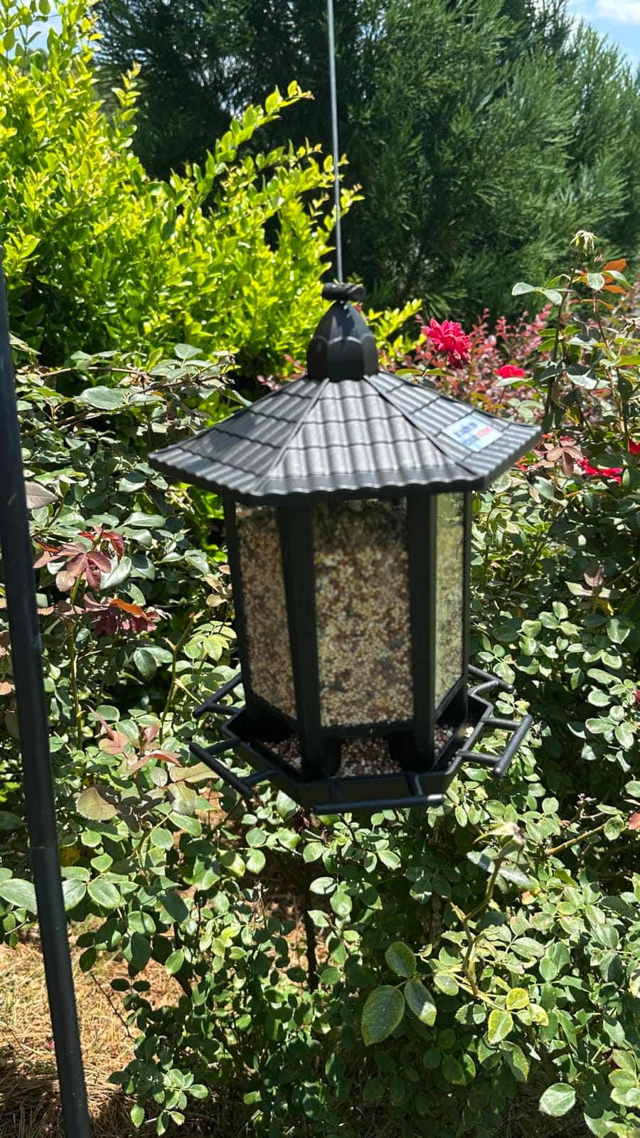 Birdream 2 Pack Bird Feeders for Outdoor Hanging, Retro Pagoda Design Fun Installation Bird Feeder, Attracting Wild Birds Chickadees Goldfinches Cardinals Finches and Sparrows customer photo 2