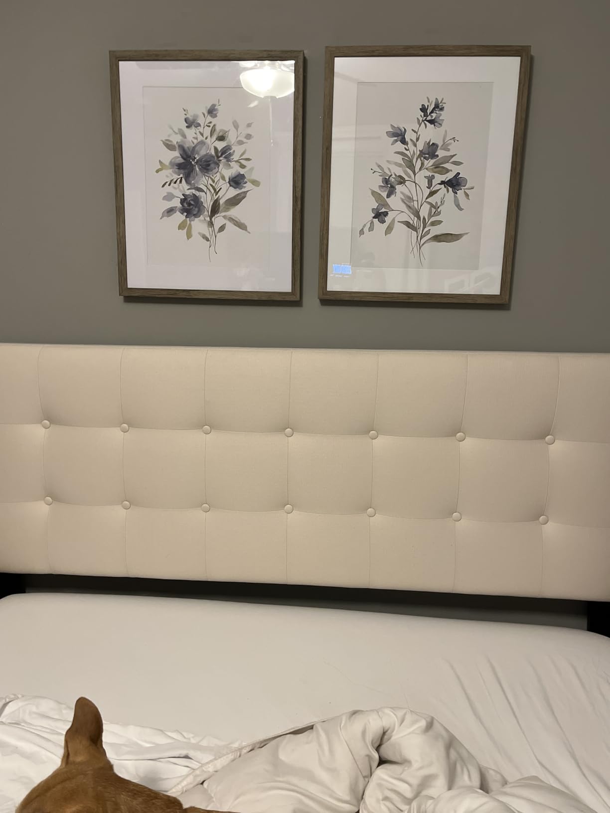 Zinus 8 Inch Twin Cooling Essential Memory Foam Mattress, Medium Feel | Designed for Cooler Sleep, Soothing Pressure Relief, Just-Right Medium Feel, CertiPUR-US & OEKO-TEX Certified Materials customer photo 1