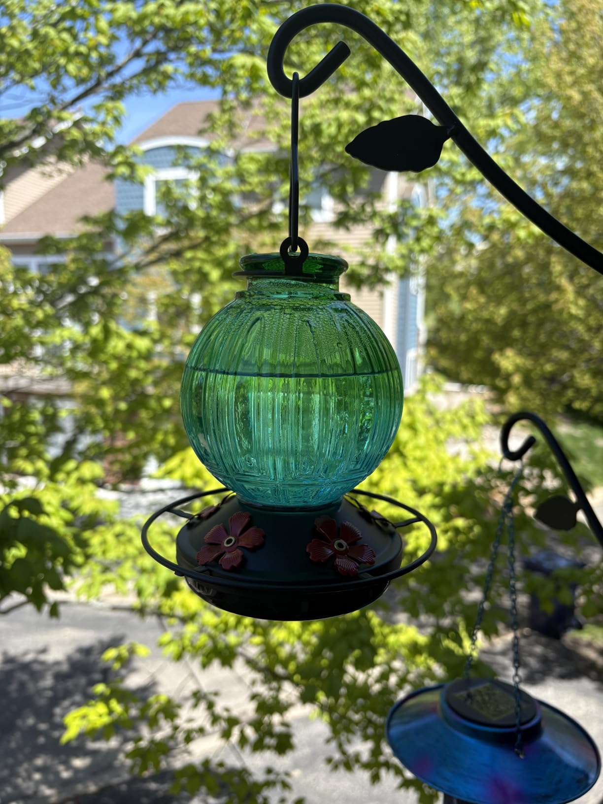 Glass Hummingbird Feeder for Outdoors Hanging, 26 fl oz Bird Nectar Feeder | 5 Metal Flower Feeding Ports, 360° Perch Ring, Easy Refill & Clean, Leakproof, Ideal for Backyard, Garden Outdoor Decor, Red customer photo 2