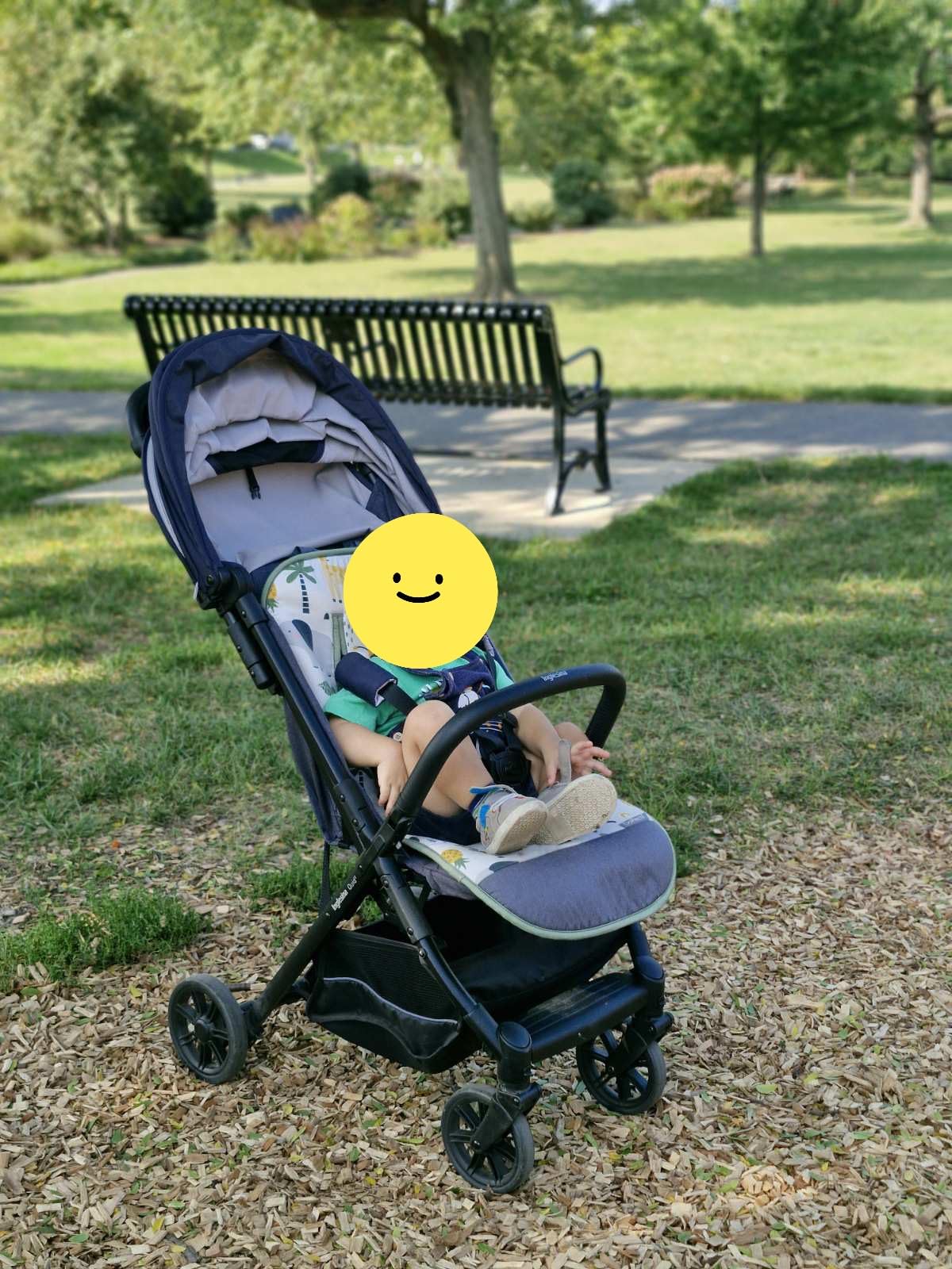 Inglesina Quid 2 Stroller - Elephant Gray - Ultra Compact Lightweight Travel Stroller, Babies and Toddlers, Airplane Overhead, Foldable, Reclining Seat, Collapsible Canopy, 3 Months - 50 lbs, BPA Free customer photo 1