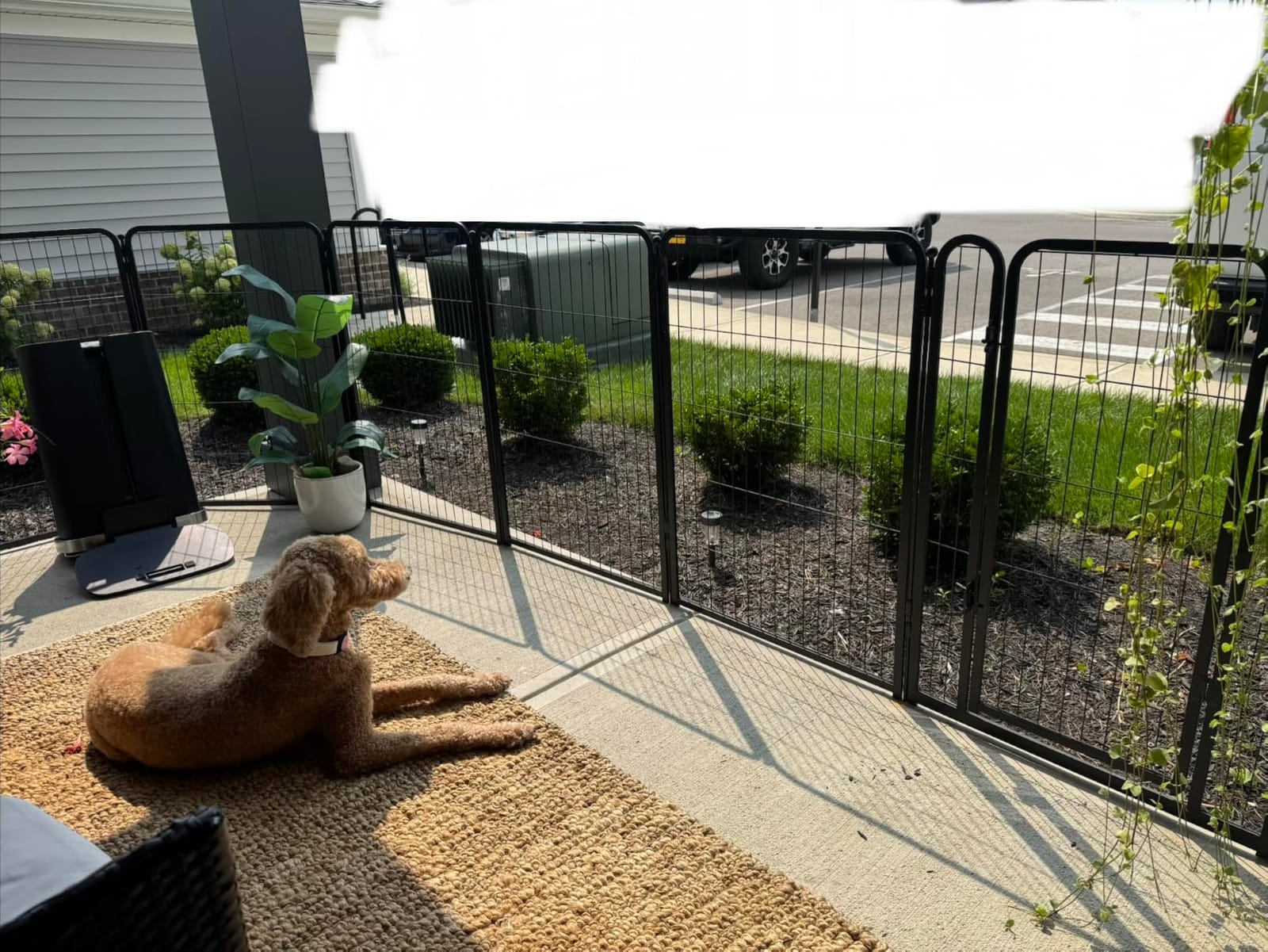 FXW Dog Gate, Extra Wide Adjustable for Openings Up to 165