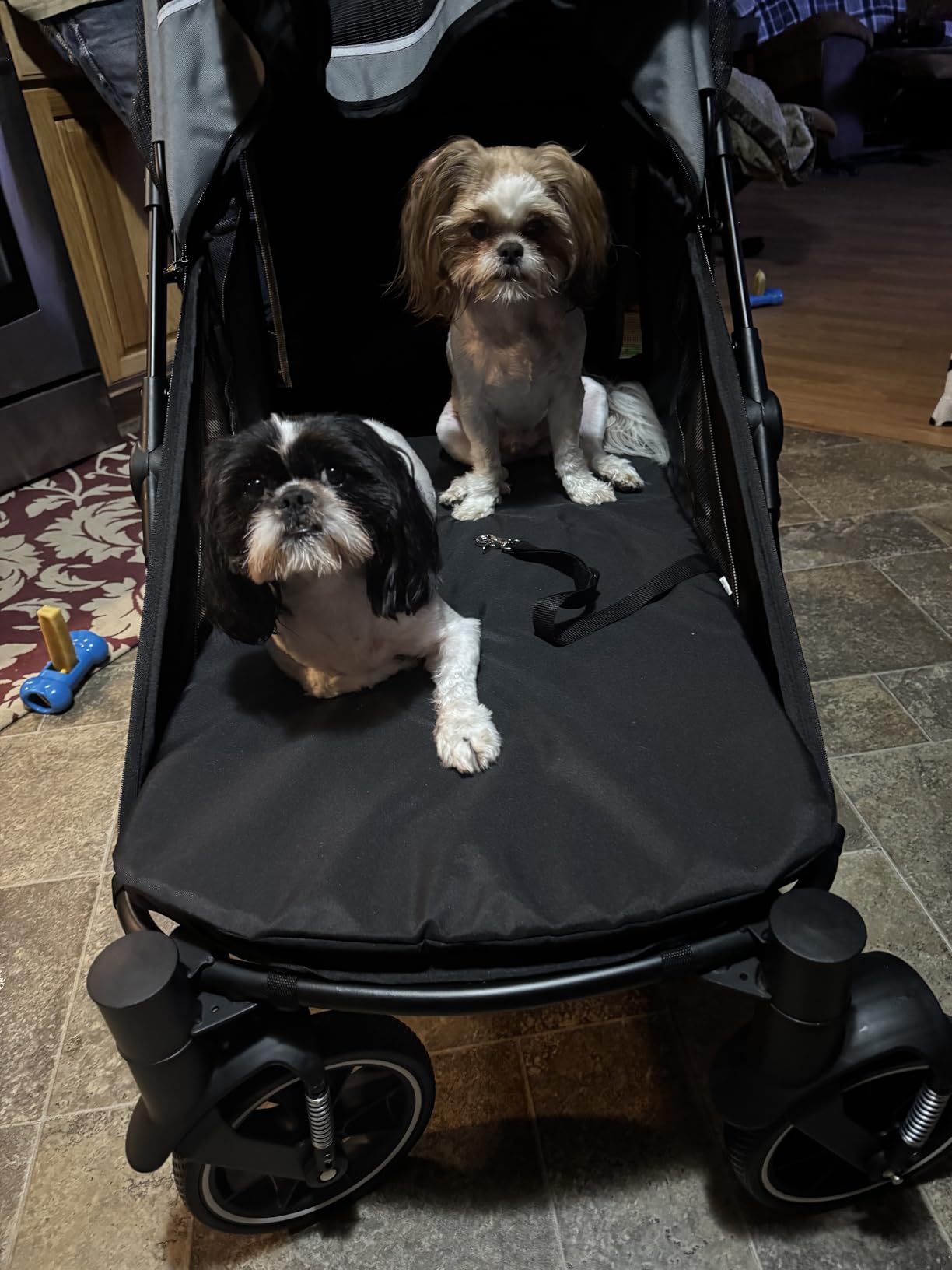 Dog Stroller for Medium/Large Dogs One-Click Folding, Extra Large Pet Stroller for 2 Dogs with Storage Pocket & Shock Absorption, Up to 130 lbs, Grey customer photo 1