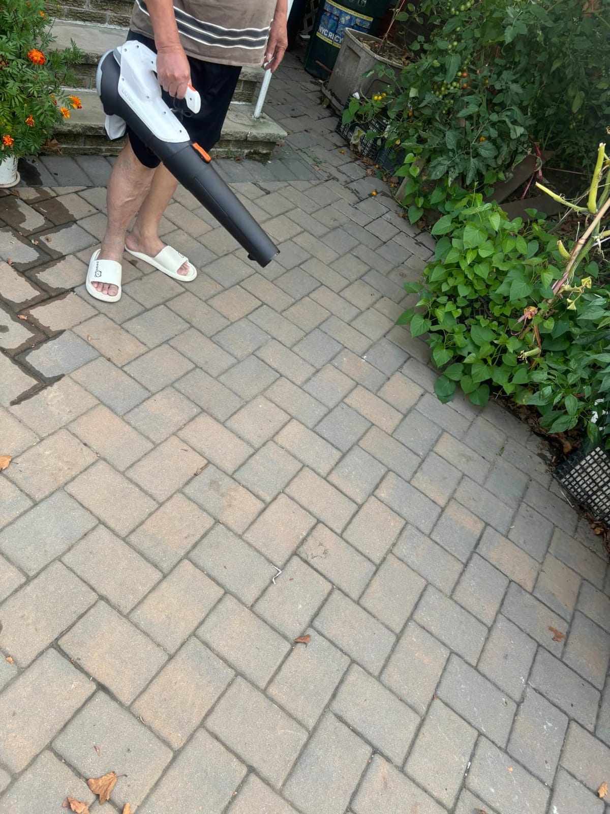 Litheli 20V Cordless Leaf Blower Battery Powered Leaf Blower, 2.0 Ah Battery Lightweight 2 Speed Axial Electric Blowers for Lawn Care, Patio, Snow, Dust, Blowing Leaves customer photo 1