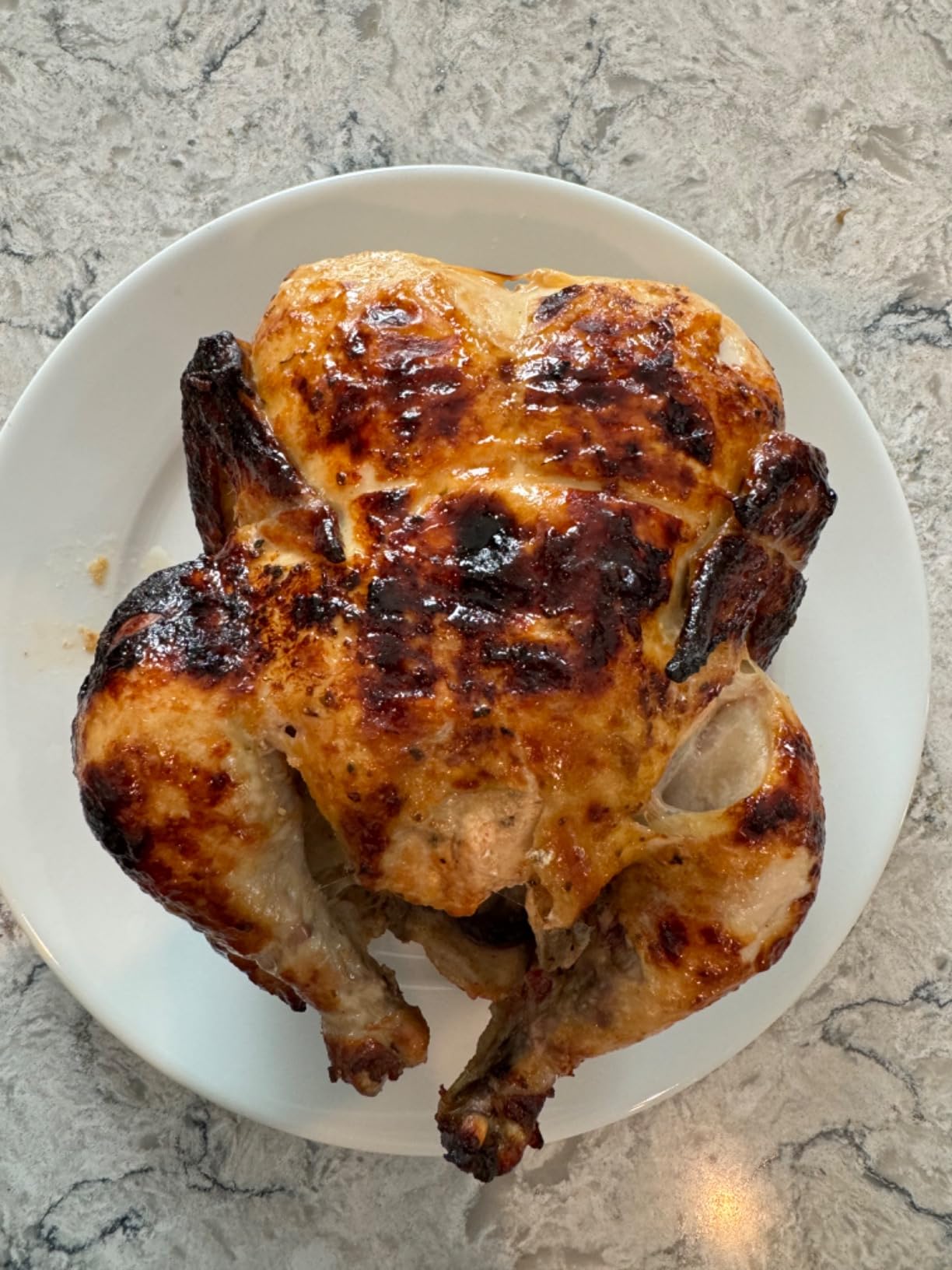 Ronco 6000 Platinum Digital Countertop Rotisserie Oven, 12-lb Capacity | Rotisserie chicken cooks perfectly, 3 functions - rotisserie, sear, no-heat rotation; basket included; auto shutoff customer photo 2
