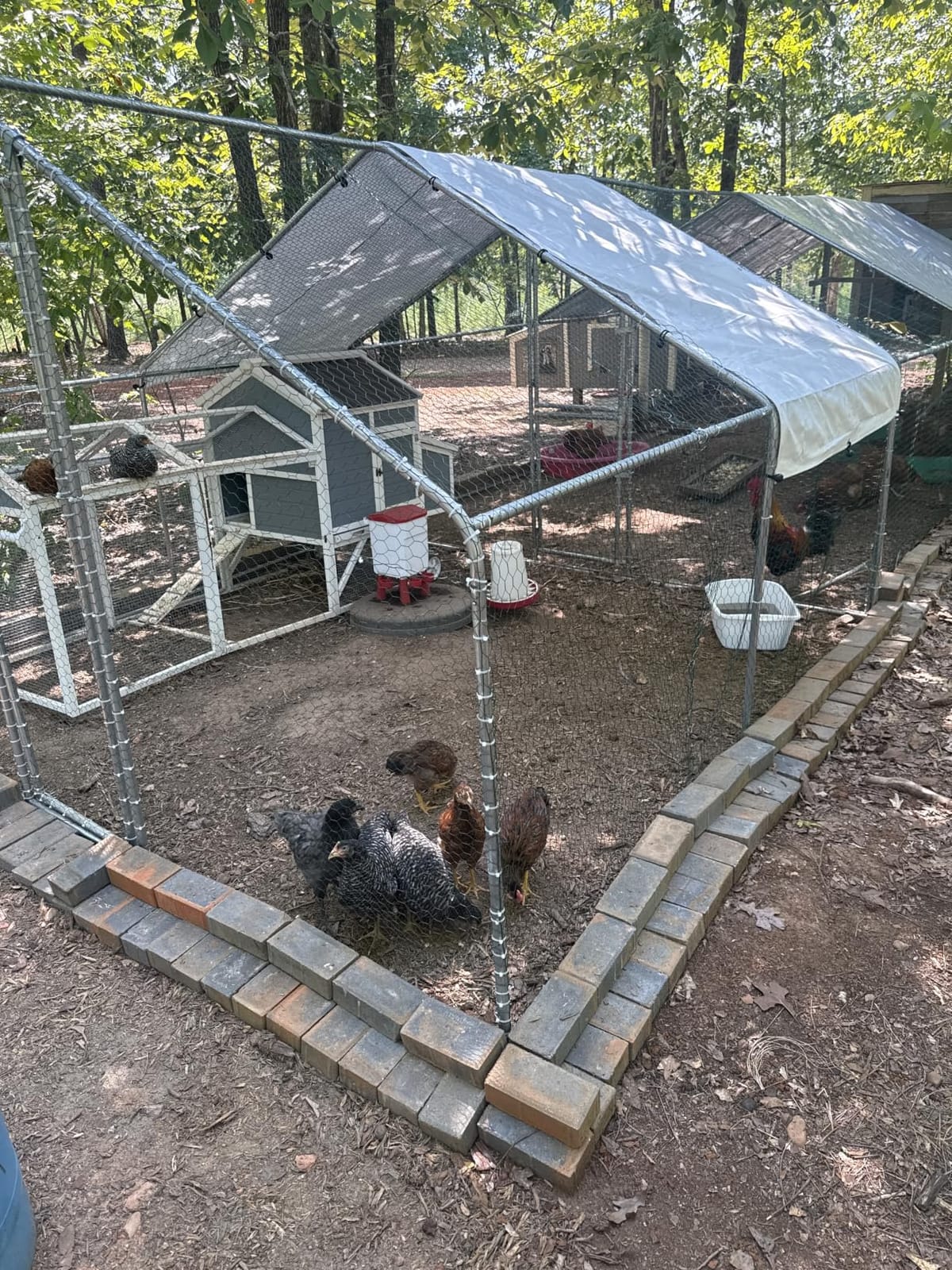 Outvita Chicken Coop, 13x10 FT Large Metal Chicken House, Poultry Habitat Cage with Waterproof Cover, Walk-in Chicken Run Pen for Small Animals, Yard, Farm, Patio customer photo 1