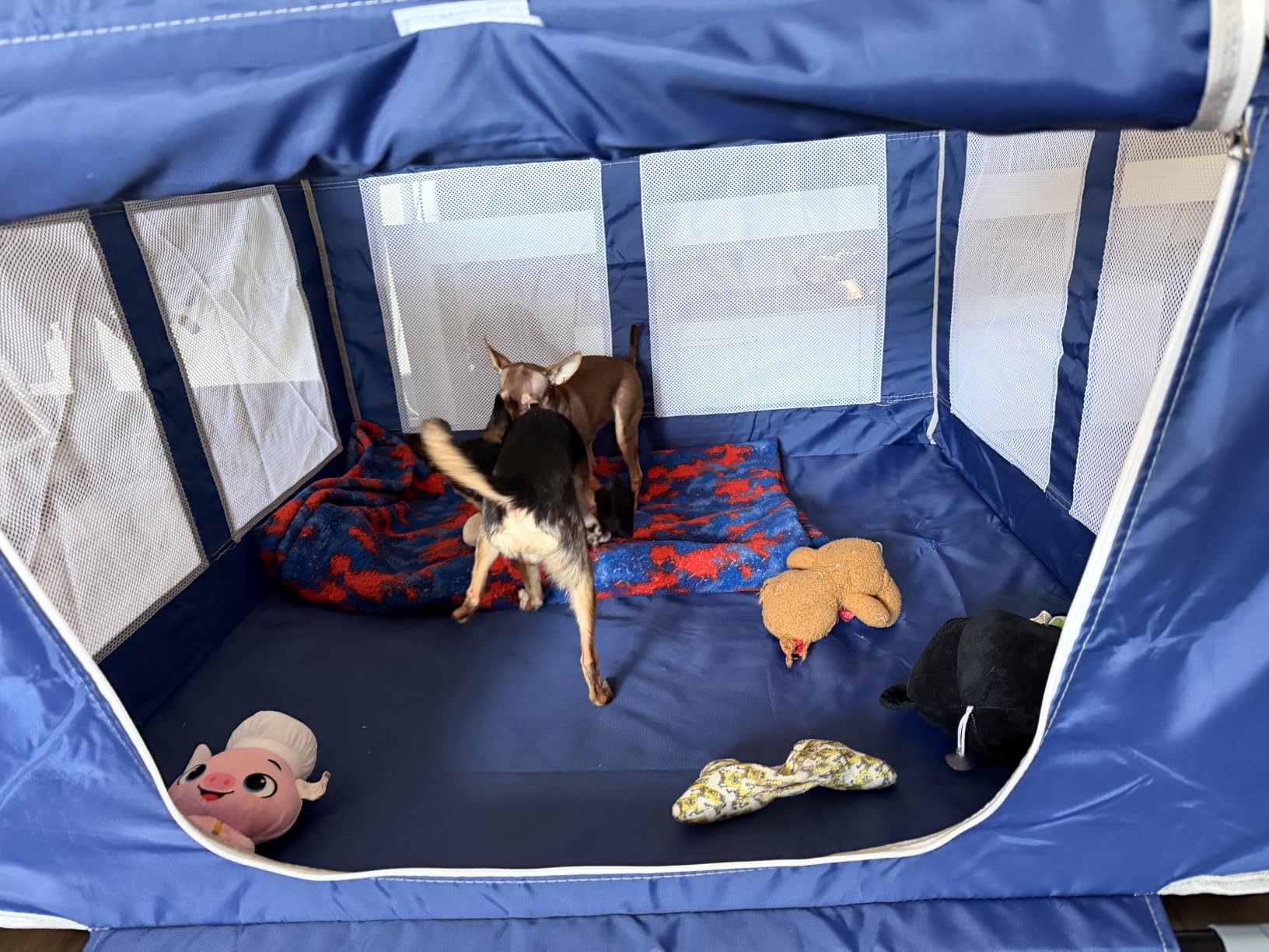 XVISHX 42x42 Inches Puppy Playpen with Gate, Dog Playpen for Puppies or Small Dogs, DogFence Pet Playpen for Indoor & Outdoor, Sturdy Safety DogPen with Thickened Fabric, High-Strength Nylon Wire Mesh customer photo 1