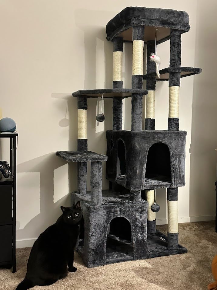 Globlazer Heavy Duty Cat Trees for Big Cats Maine Coon, F61, Light Grey, Cat Tower for Indoor Large Adult Cats with Scratching Post, Extra Large Top Perch, Cat Condos, 61inch customer photo 1