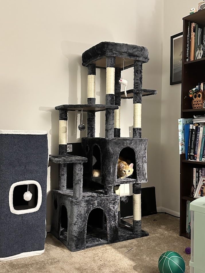 Globlazer Heavy Duty Cat Trees for Big Cats Maine Coon, F61, Light Grey, Cat Tower for Indoor Large Adult Cats with Scratching Post, Extra Large Top Perch, Cat Condos, 61inch customer photo 2