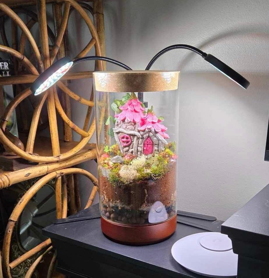 Clear Glass Houseplant Terrarium Planter, 6
