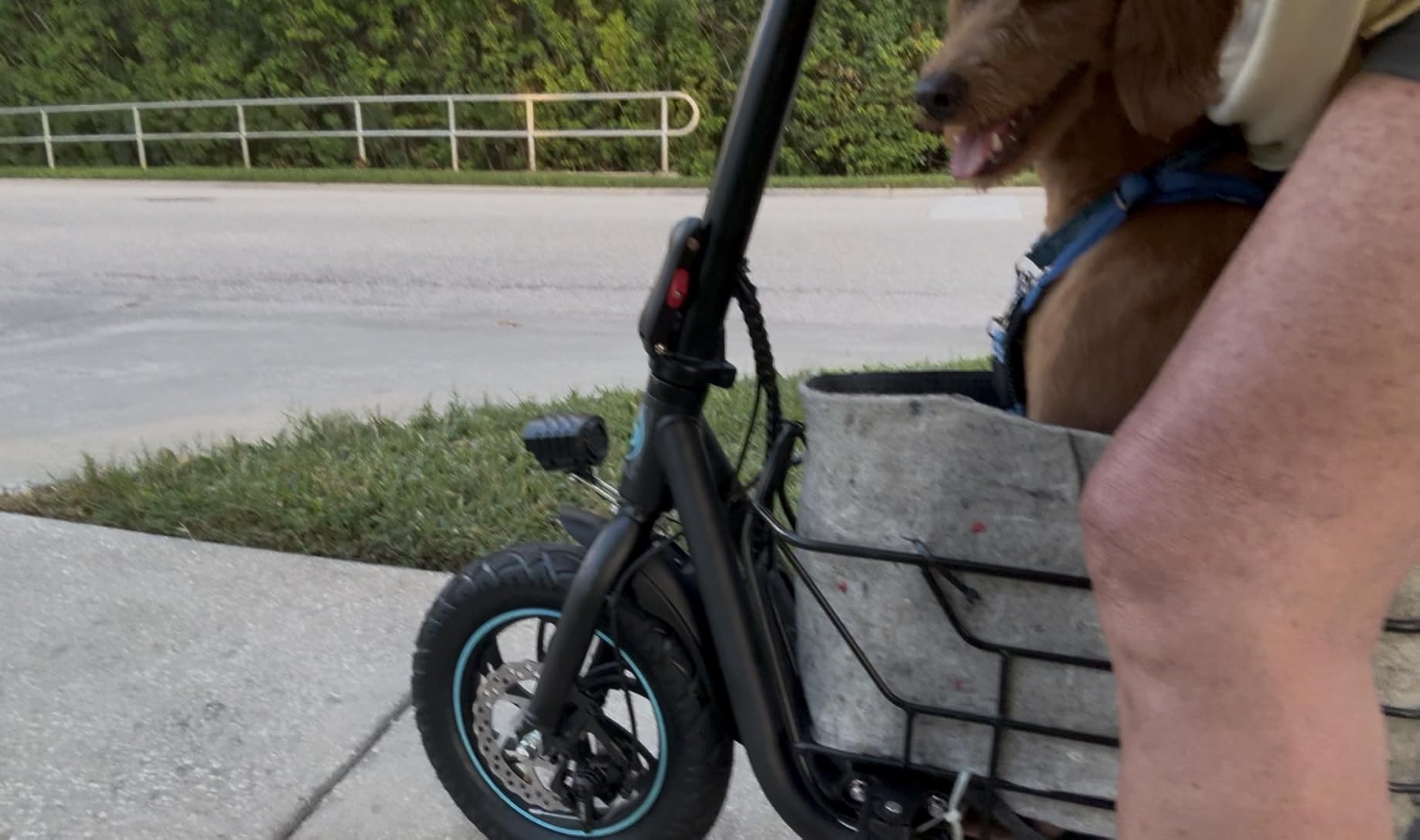 Gyroor Electric Scooter with Seat for Adults 20 Miles Range | 550W Motor, Pet Basket, 18.6 MPH Speed, 12