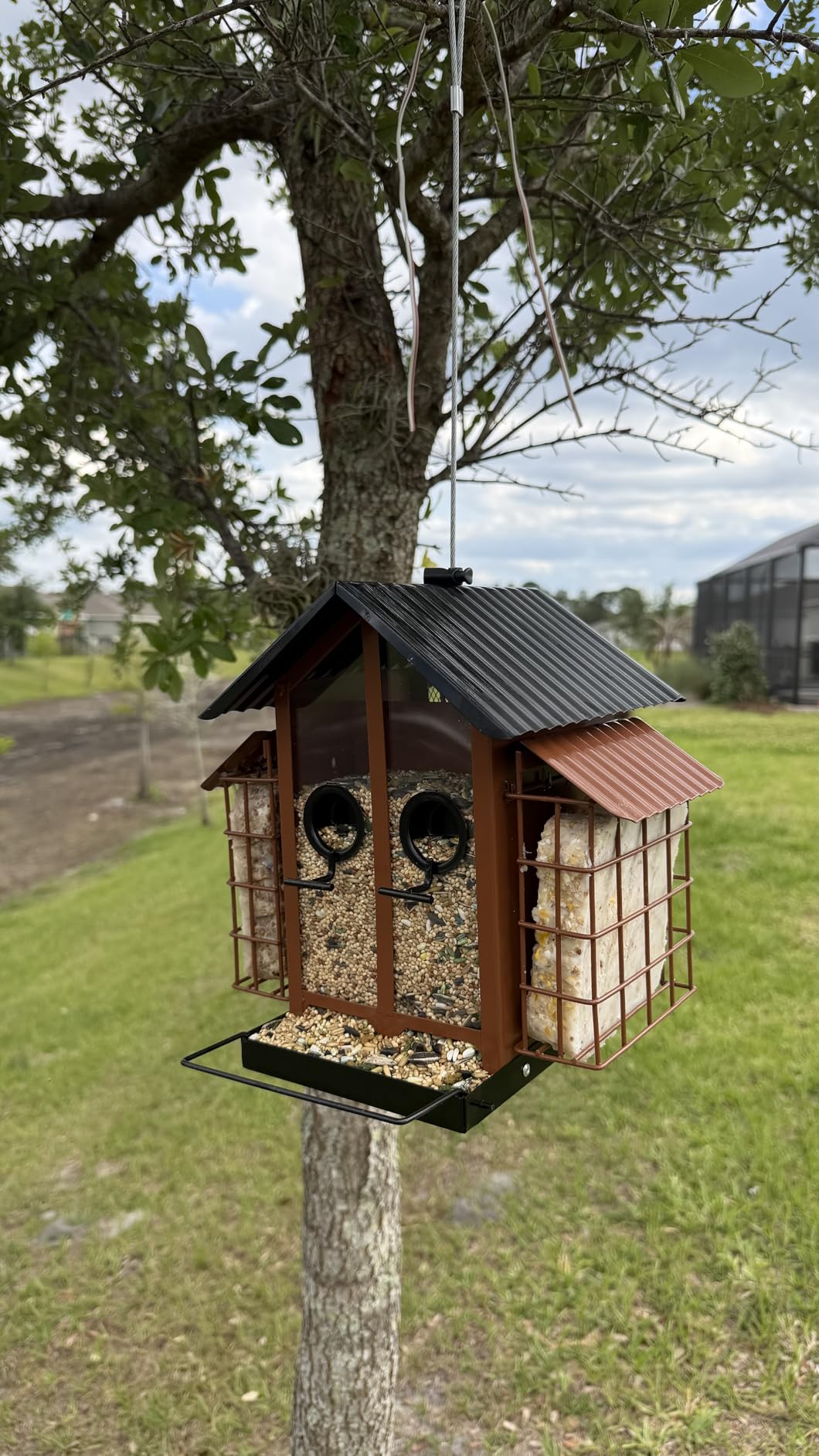 FlowaFoli Bird Feeders for Outdoors, Metal Bird Feeder with Double Suet Cage Weatherproof Metal Roof, 2 in 1 Mixed Seeds Suet Feeder, 4Lbs Large Capacity, Great for Finch, Cardinal, Chickadee (Brown) customer photo 1