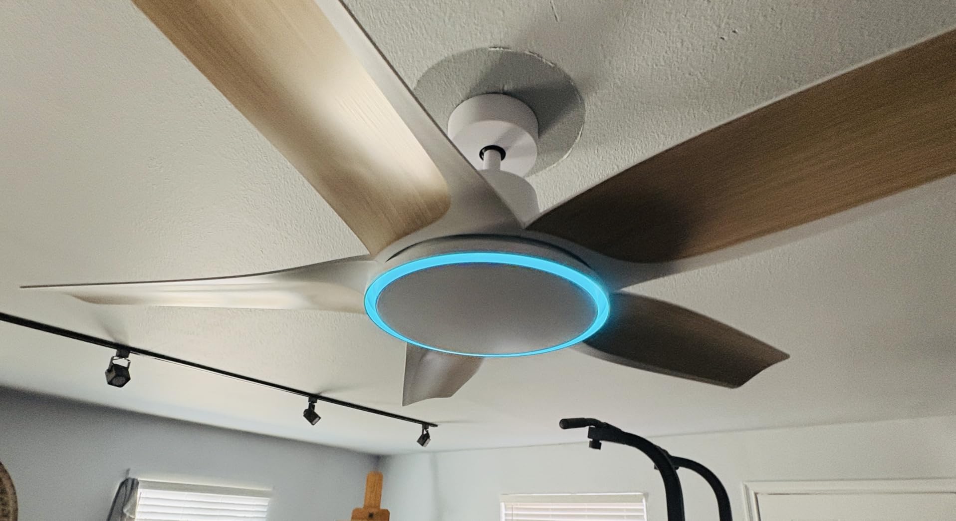 DREO Smart RGBIC Ceiling Fans with Lights, Low profile Ceiling Fan with Alexa/App, 52'' Dimmable Lighting & Color Tuning, 25dB Quiet for Living Room, Game Room, Easy Installation, Black, 2026 Upgraded customer photo 1