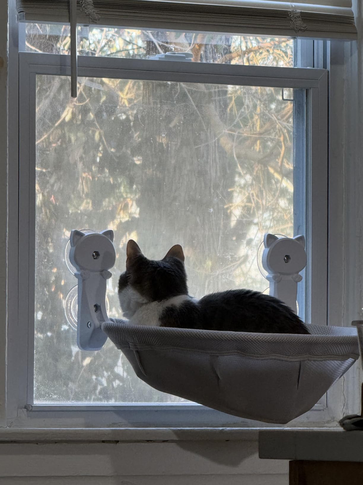 JUNSPOW Cat Window Perch Cordless, Foldable & Stable Cat Beds - Breathable Cat Window Hammock for Overlooking, Sunbathing and Climbing - Maximum Hold Up to 40lb customer photo 1