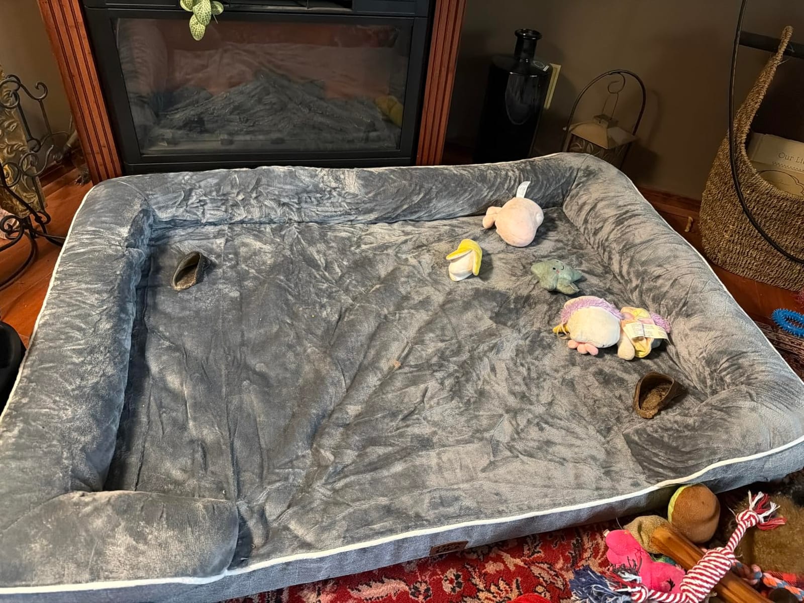 EHEYCIGA Orthopedic Small Dog Bed, Waterproof Memory Foam Washable Pet Beds | Non-Slip Bottom and Egg-Crate Foam Medium Dog Couch Bed with Washable Removable Cover, Grey customer photo 1