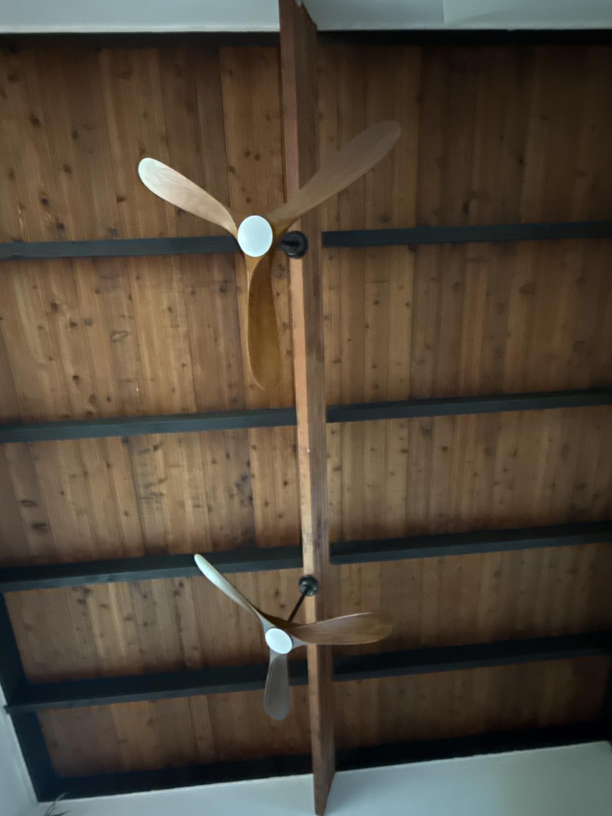 Haipeel 52 Inch Outdoor Ceiling Fan with Light and Remote, Solid Wood | Dimmable 3 Color LED with Memory 3 Blade Walnut Propeller Quiet High CFM Reversible BLDC, Damp Rated Outdoor Patios Farmhouse customer photo 1