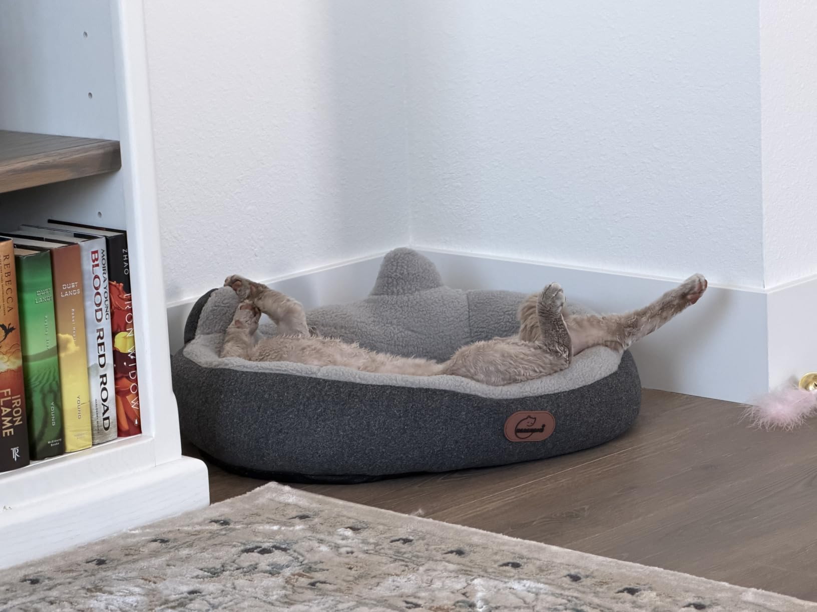 Heated Cat Bed for Small Size Cats, Heated Pet Bed with Timer & Temp Adjustable, Removable Waterproof Pet Heating Pad for Indoor, Gray Cozy Donut Electric Bed Heater Warmer for Kitten Cat customer photo 1