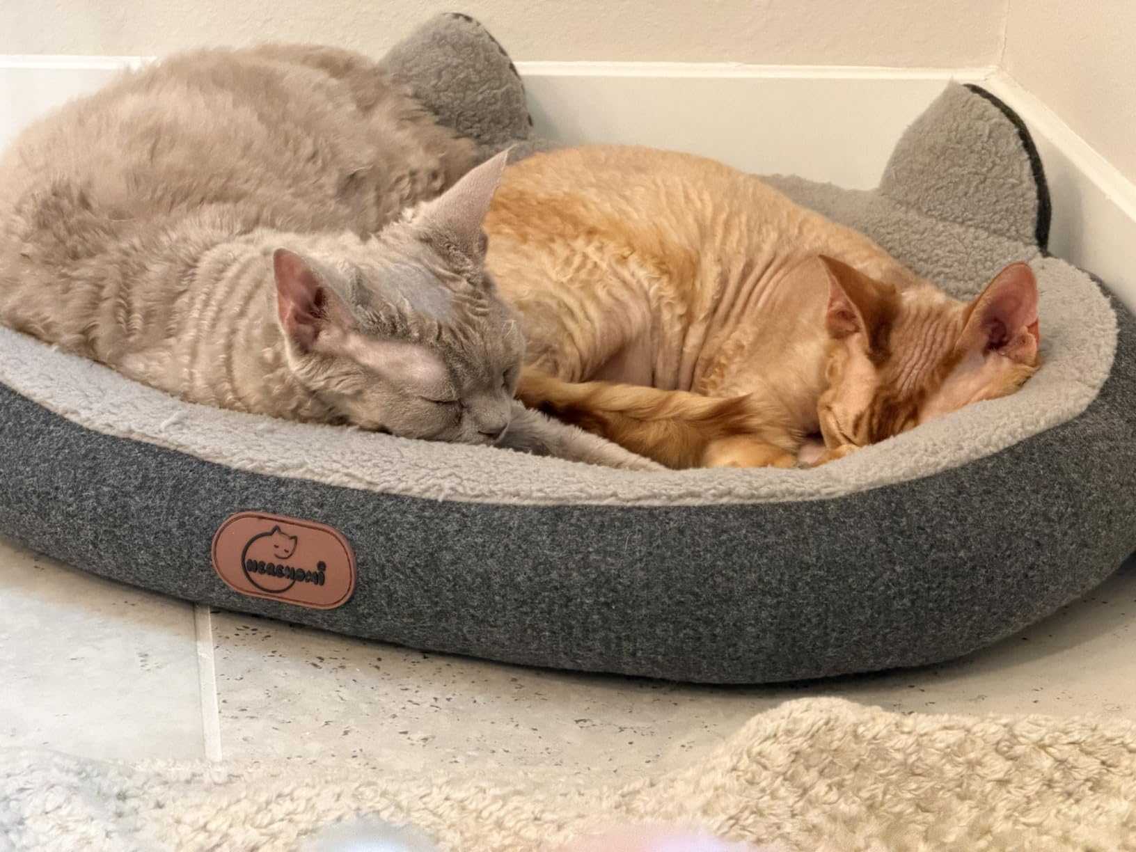 Heated Cat Bed for Small Size Cats, Heated Pet Bed with Timer & Temp Adjustable, Removable Waterproof Pet Heating Pad for Indoor, Gray Cozy Donut Electric Bed Heater Warmer for Kitten Cat customer photo 2