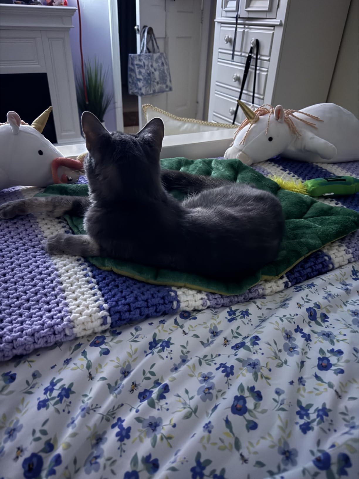 Cat Mat Self Warming Cat Bed 26