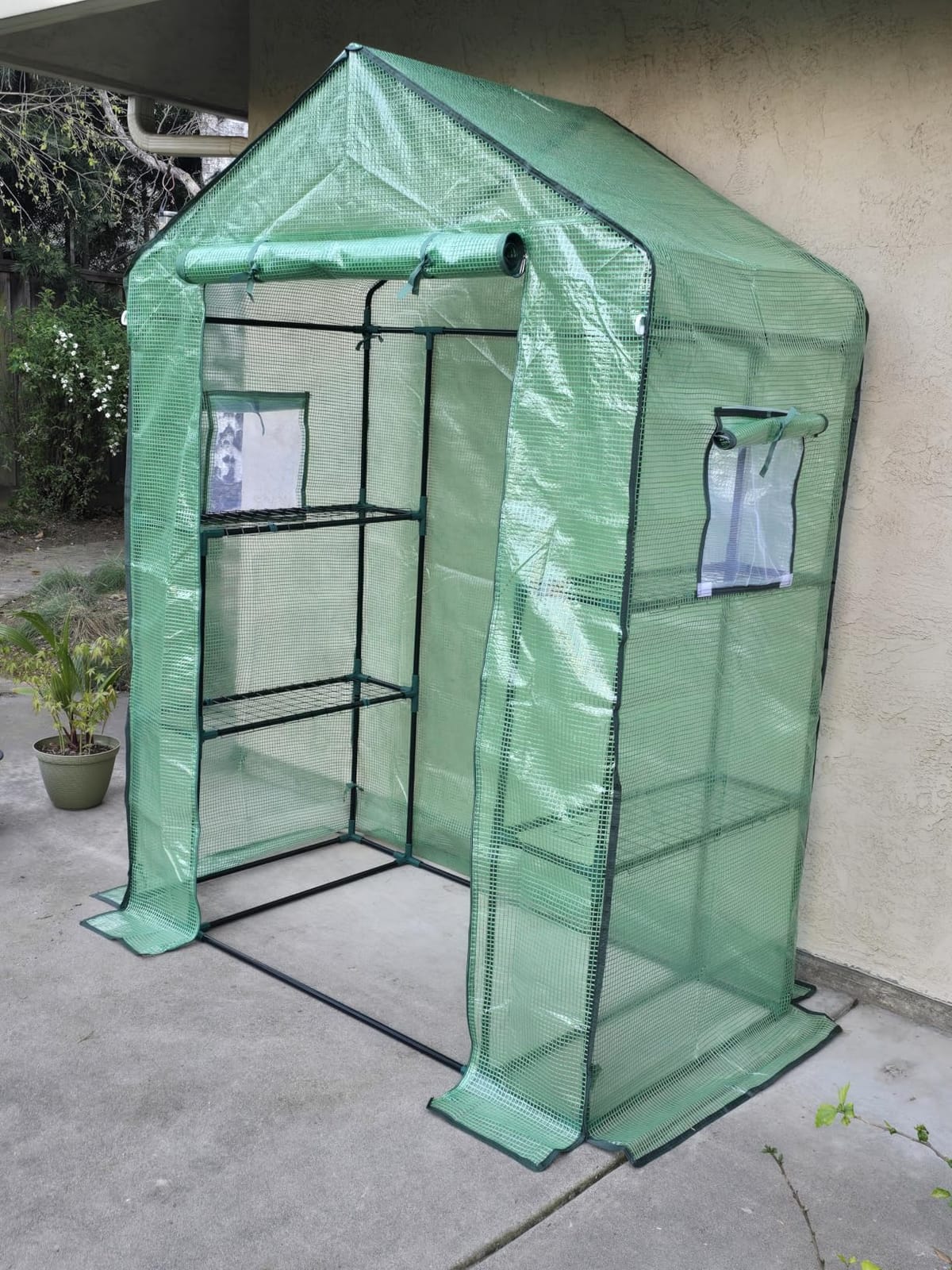 Greengro Greenhouse, 28 x 57 x 76'' Walk in Greenhouses for Outdoors Indoor | Small Plant Green House with Screen Windows, 3 Tiers 4 Shelves, Durable PE Cover, Portable for Outside Garden Patio Backyard customer photo 2