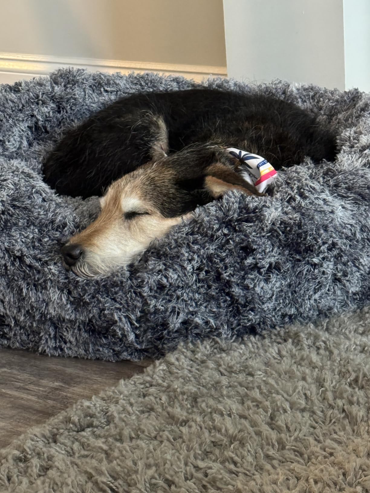 JOLLYVOGUE Small Dog Bed, Calming Dog Beds for Small Dogs & Indoor Cats - 20 Inches Donut Washable Cat Bed for Kittens & Puppies, Round Fluffy Plux Faux Fur Pet Beds customer photo 2