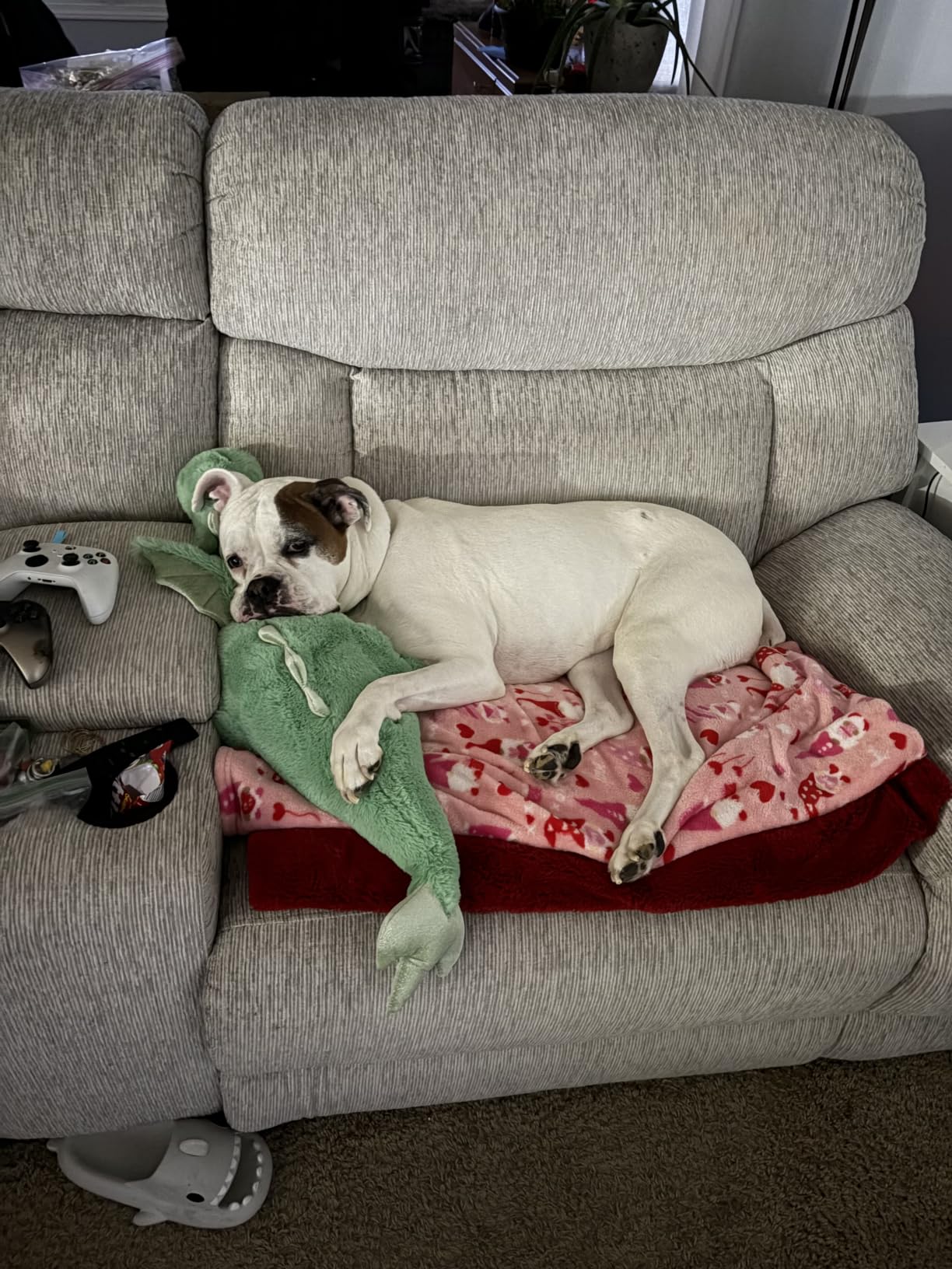 Weighted Stuffed Animals 10Lbs 35.4