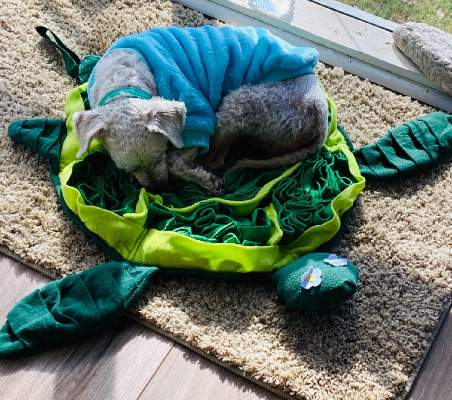 Snuffle Mat for Dogs - Interactive Puzzle Feeding Game for Stress Relief & Foraging Skills | Dog Toys to Keep Them Busy | Small/Medium/Large Dogs Turtle Design customer photo 1