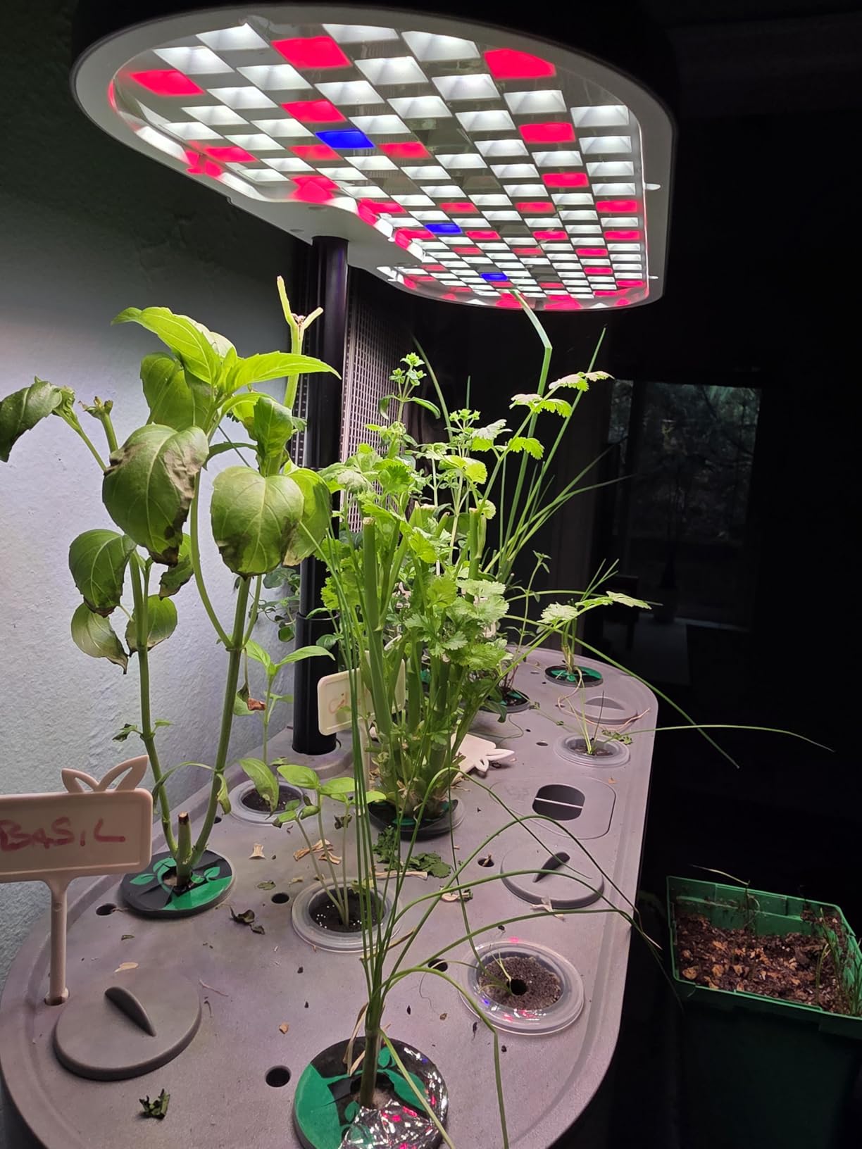 Growell Hydroponics Growing System Kit, 16 Pods Indoor Garden with 28W Full Spectrum LED Grow Light, Auto Timer, 3 Smart Light Modes, 8L Large Herb Garden, Ideal Gardening Gift for Women, Men (Black) customer photo 2