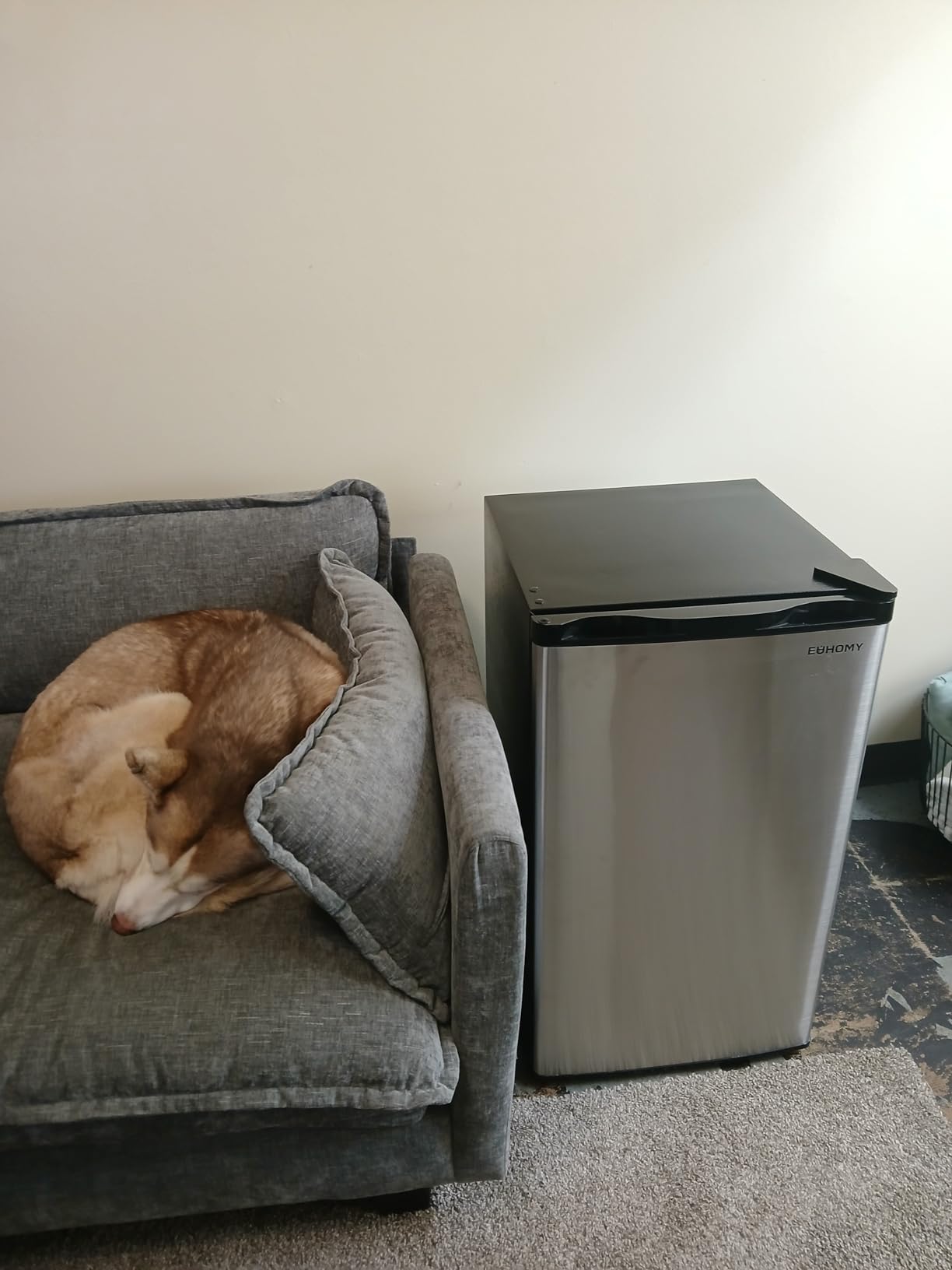 EUHOMY 3.2 Cu.Ft Mini Fridge with Freezer, Compact Refrigerator for Dorm | LED Light, 32°F to 50°F, Compressor Cooling, 38 dB, Adjustable Shelves, Reversible Door, Bedroom Use, Dorm Use customer photo 2