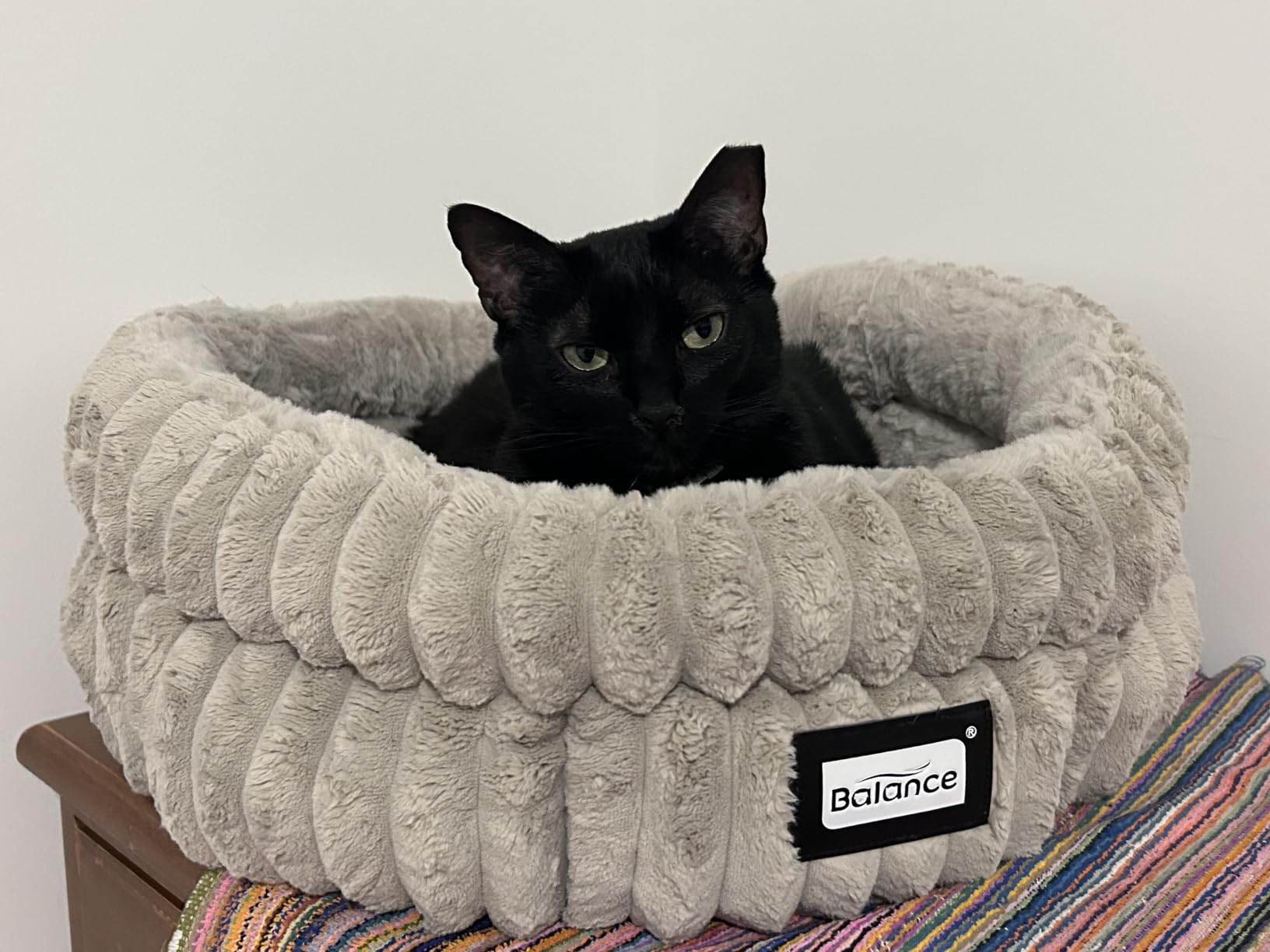 BALANCE Cat Bed Kitten Bed, Washable Round Cat Beds for Indoor Cats, Super Soft Plush Faux Fur Pet Bed for Puppy and Kitten with Anti-Slip Bottom customer photo 1