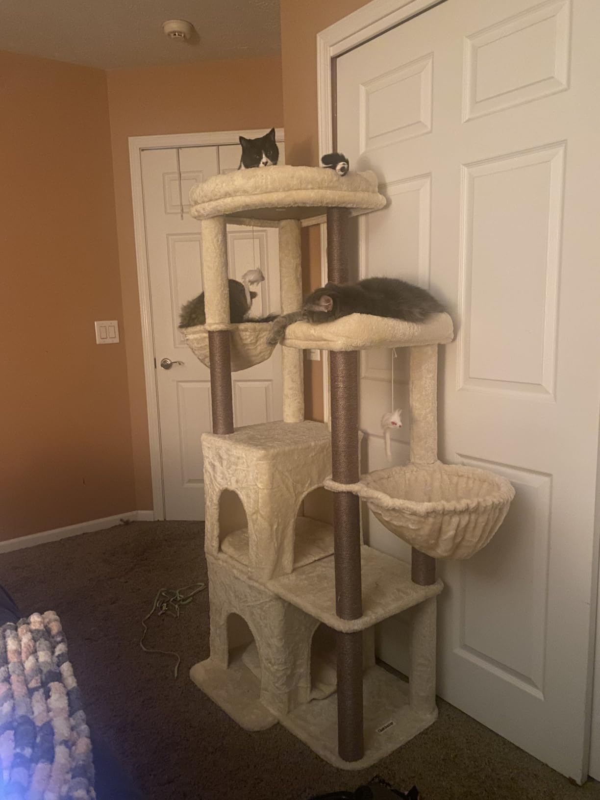 Globlazer Cat Tree Tower for Indoor Cats Large Adult, FC50, Light Grey, 50-inch Adult Cat Tree House with Steps, Scratching Post, 2 Cat Caves, Dangling Toys customer photo 1