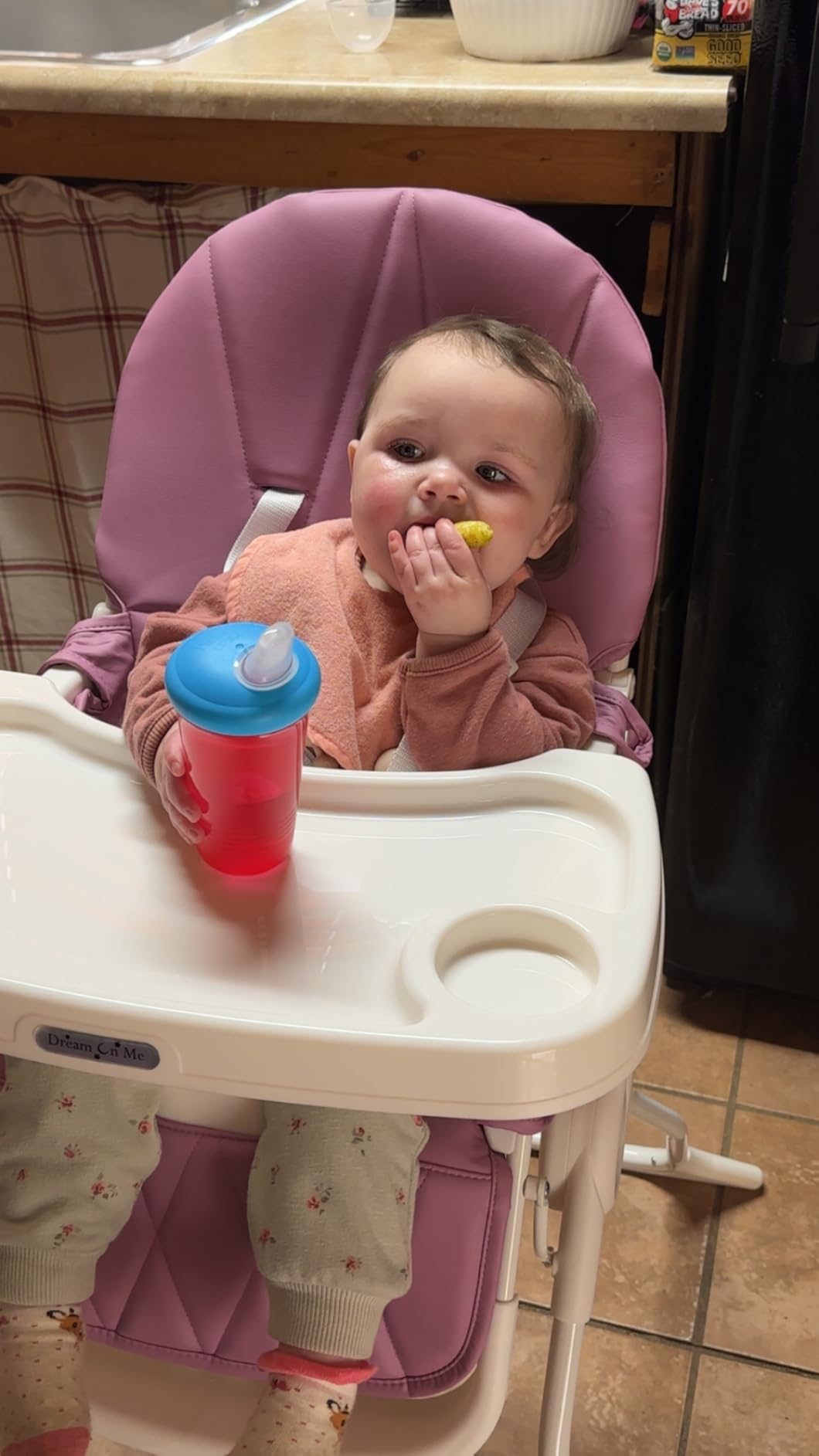 Dream On Me Snack and Stow Highchair | Adjustable Feeding Chair with Removable Tray, Lightweight, Foldable Design, Easy to Clean, Perfect for Toddlers & Infants customer photo 2