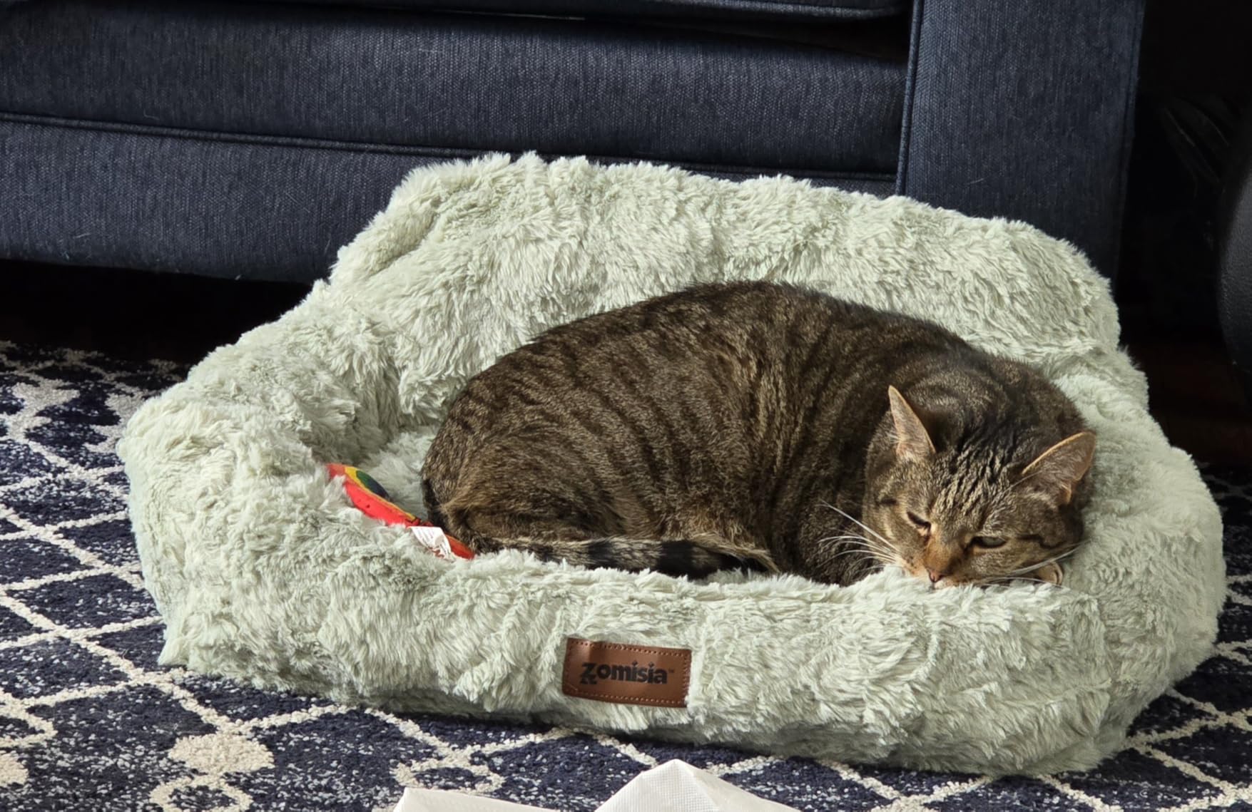 ZOMISIA Orthopedic Cat Couch Bed for Indoor Cats, Removable Washable Cover | 24x18'' Cute Cat Sofa Bed, Neck-Friendly Bolster, Pet Couch Bed with Supportive Egg Foam for Small Dogs Puppy Kitten, White customer photo 1