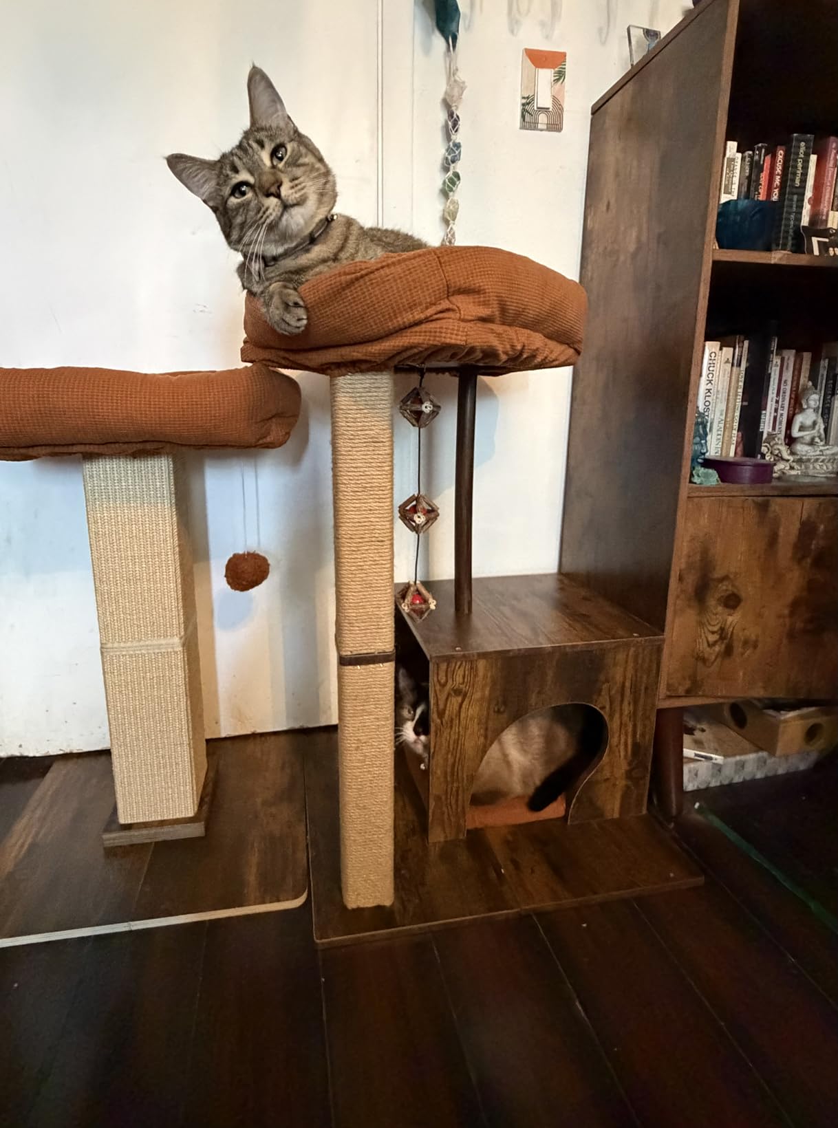 FUKUMARU Retro-Modern Cat Tree, Small Wooden Cat Tower with Post and Condo | 32.6