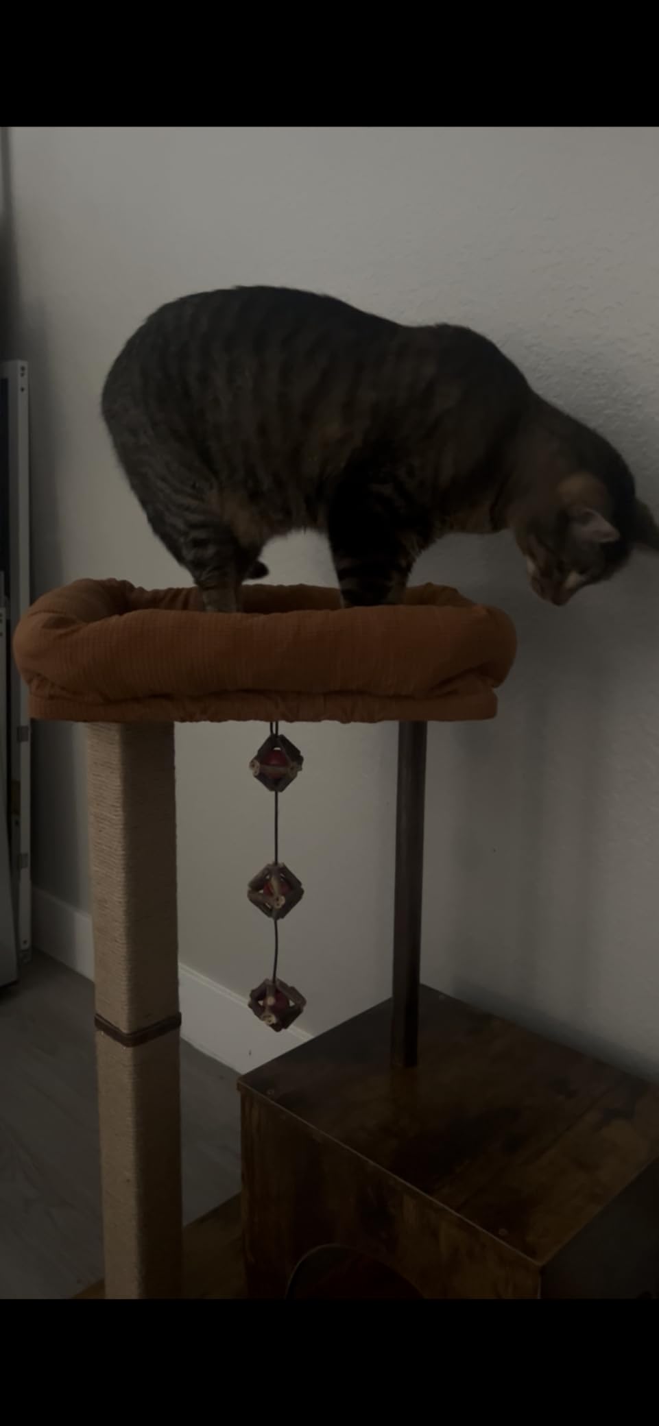 FUKUMARU Retro-Modern Cat Tree, Small Wooden Cat Tower with Post and Condo | 32.6
