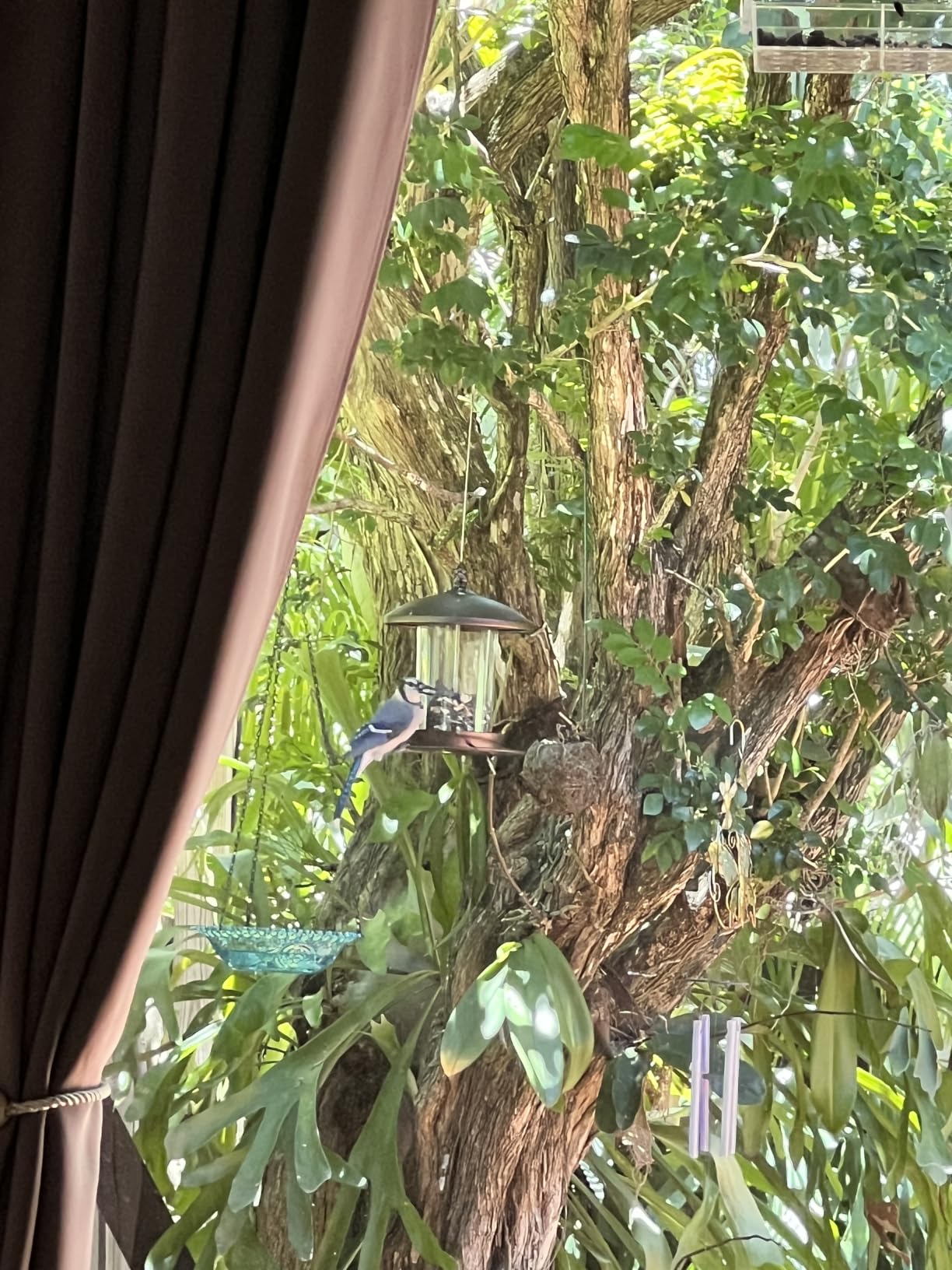 Youvip Metal Roof Bird Feeder - Chew Proof for Outdoor Hanging Wild Bird Seeds, Bronze customer photo 2