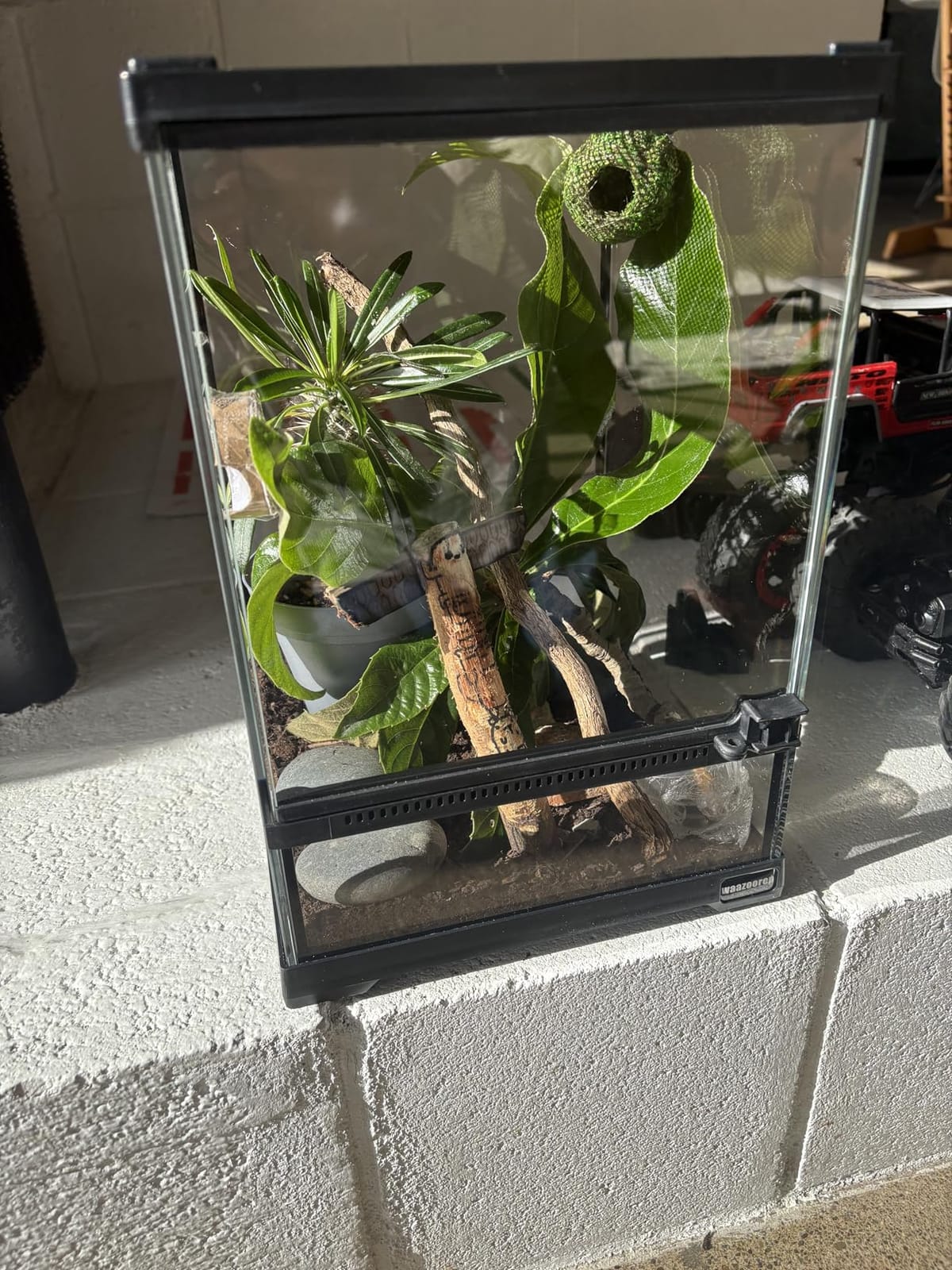 11 Gallon Reptile Glass Tank Vertical Terrarium 12