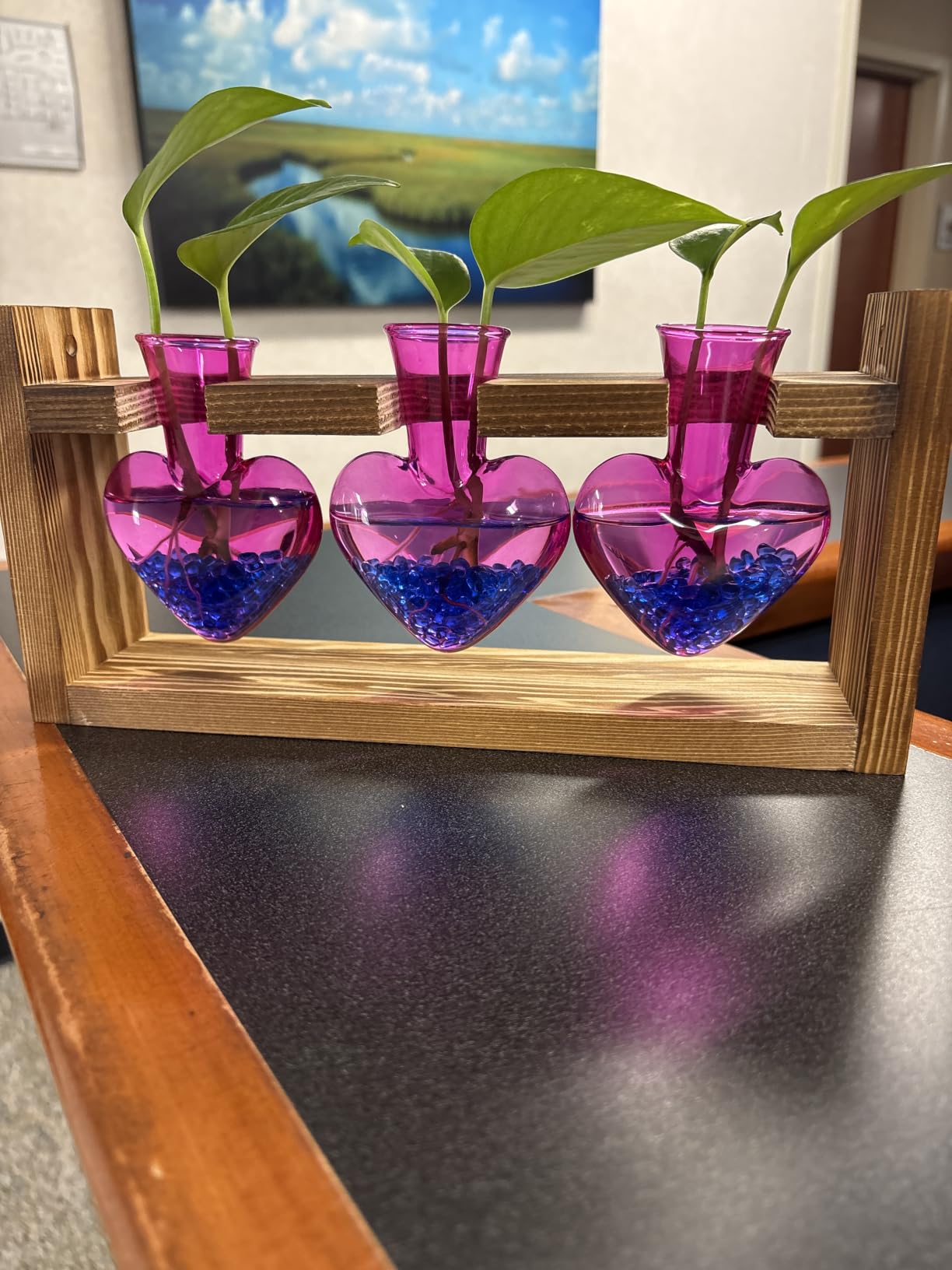 Nacome Plant Terrarium with Wooden Stand, 3 Heart Bulb Glass Vases | Wooden Stand Tabletop for Air Planter, Gifts for Mom Plant Lovers Mom Women Wife Grandma customer photo 1